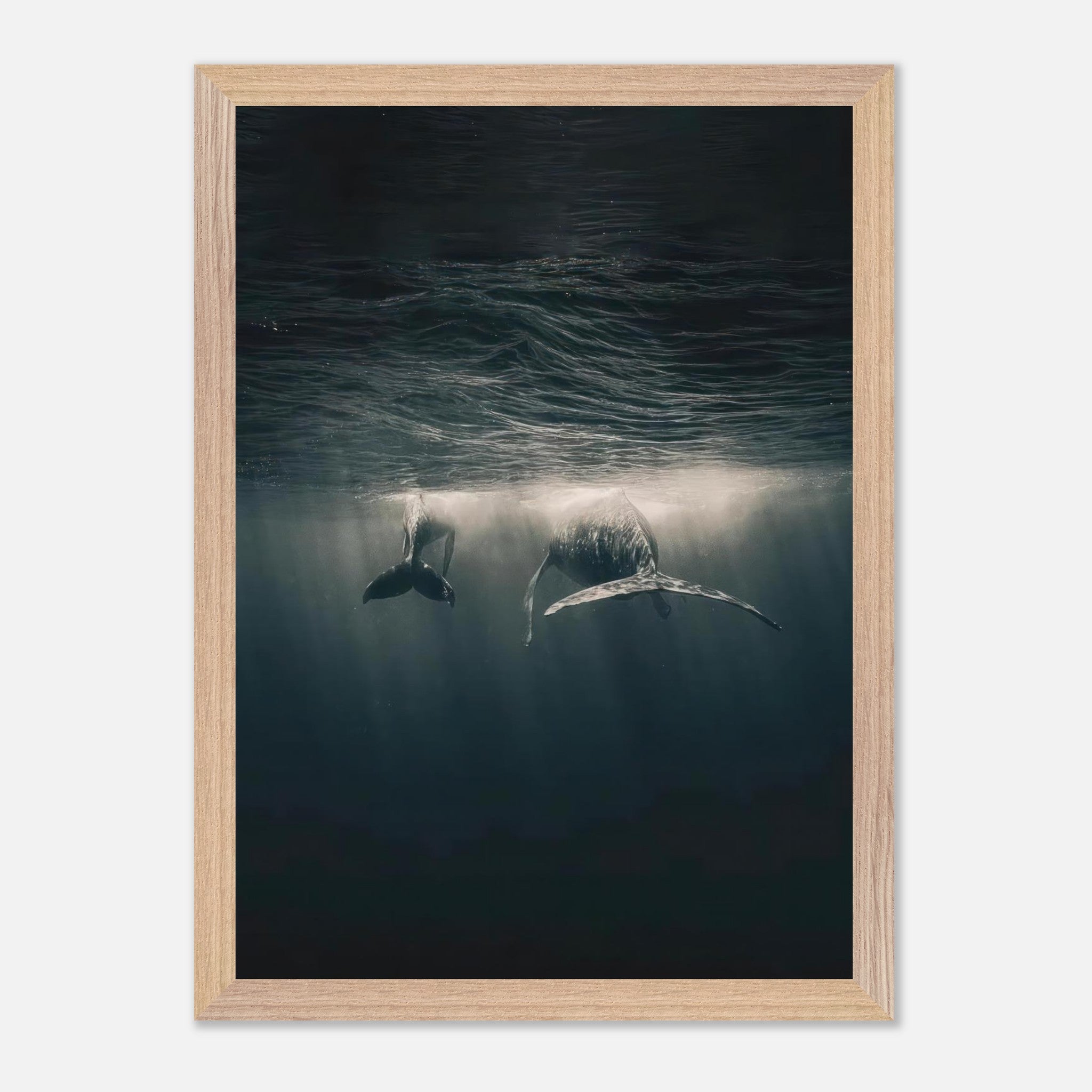 Vintage framed print of majestic whales swimming underwater in the ocean, capturing serene light effects.