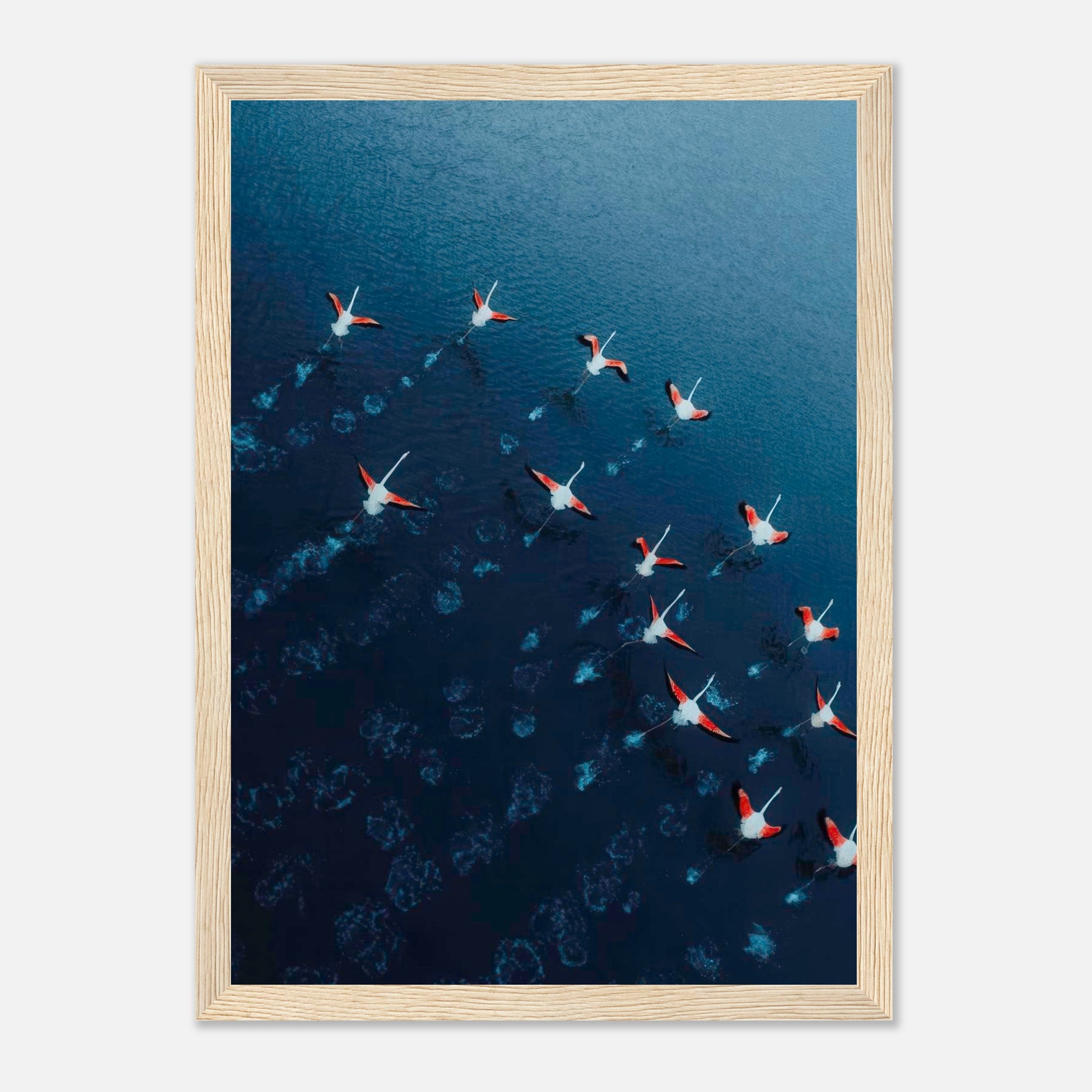 Aerial view of graceful flamingos flying over deep blue waters in a framed print.