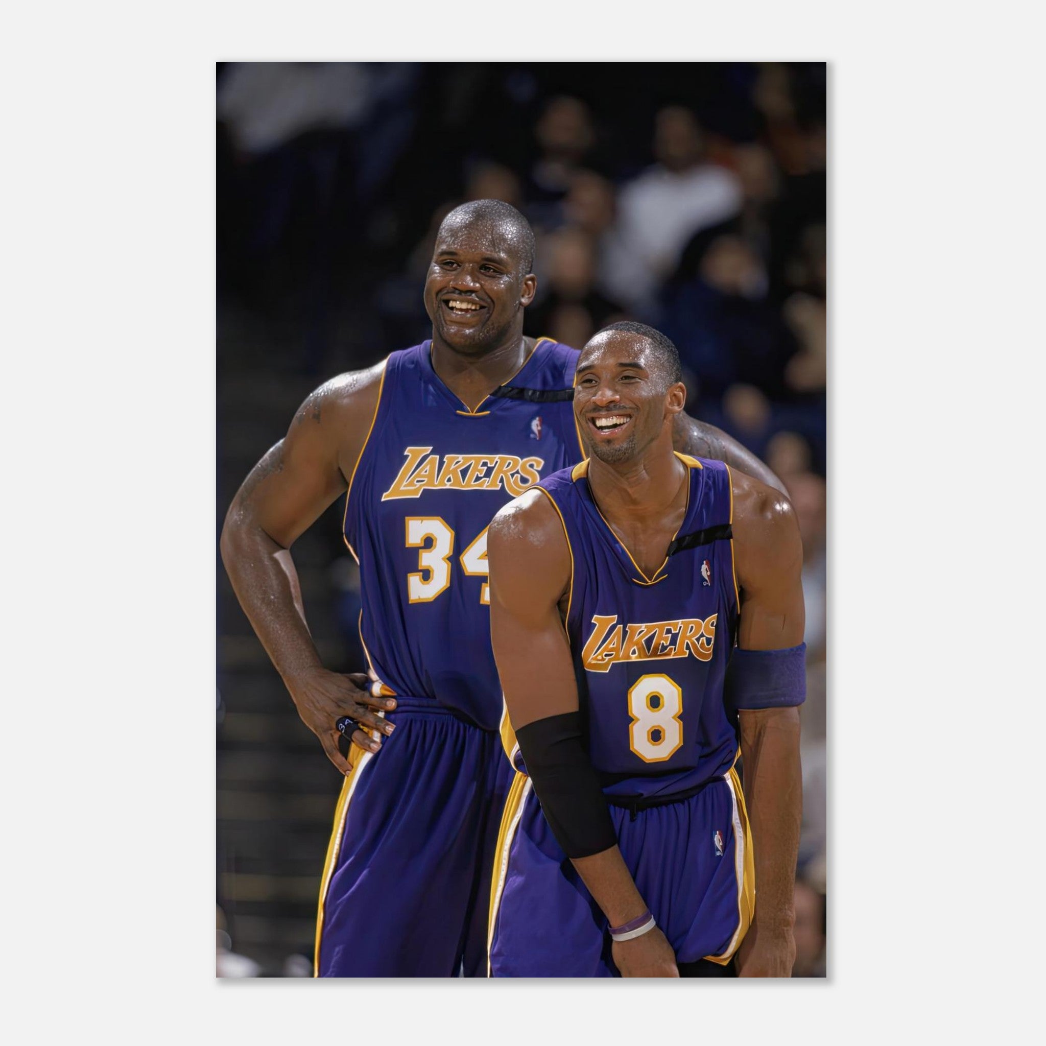 ee1b3e5f-ac43-419e-a9e2-bf2664682dcb