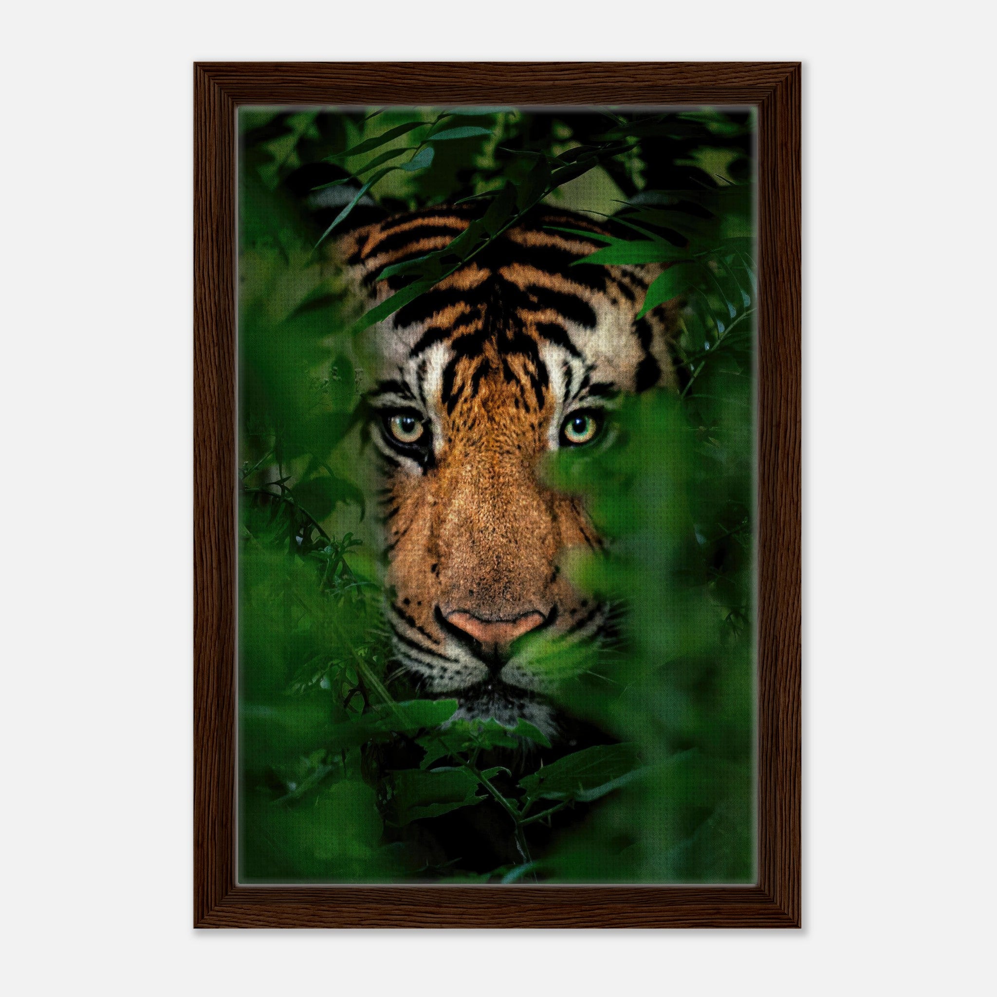 Tiger through jungle foliage in a framed canvas print, showcasing its fierce gaze and vibrant colors.