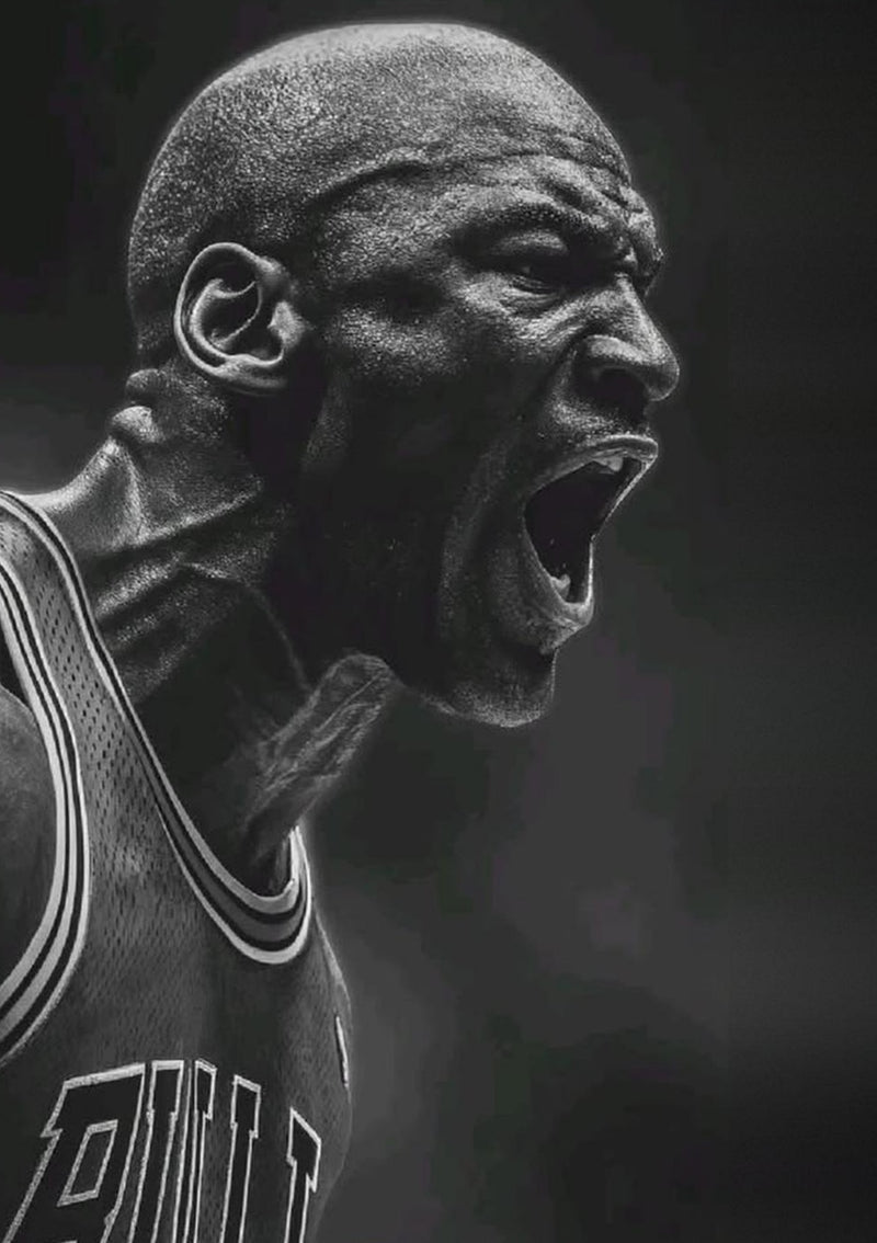 Michael Jordan Chicago Bulls