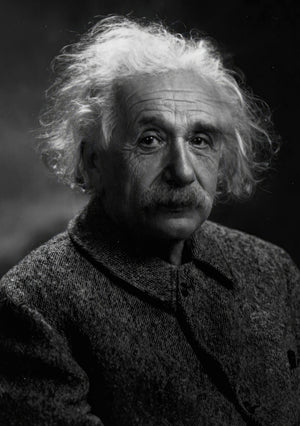 Albert Einstein Portrait