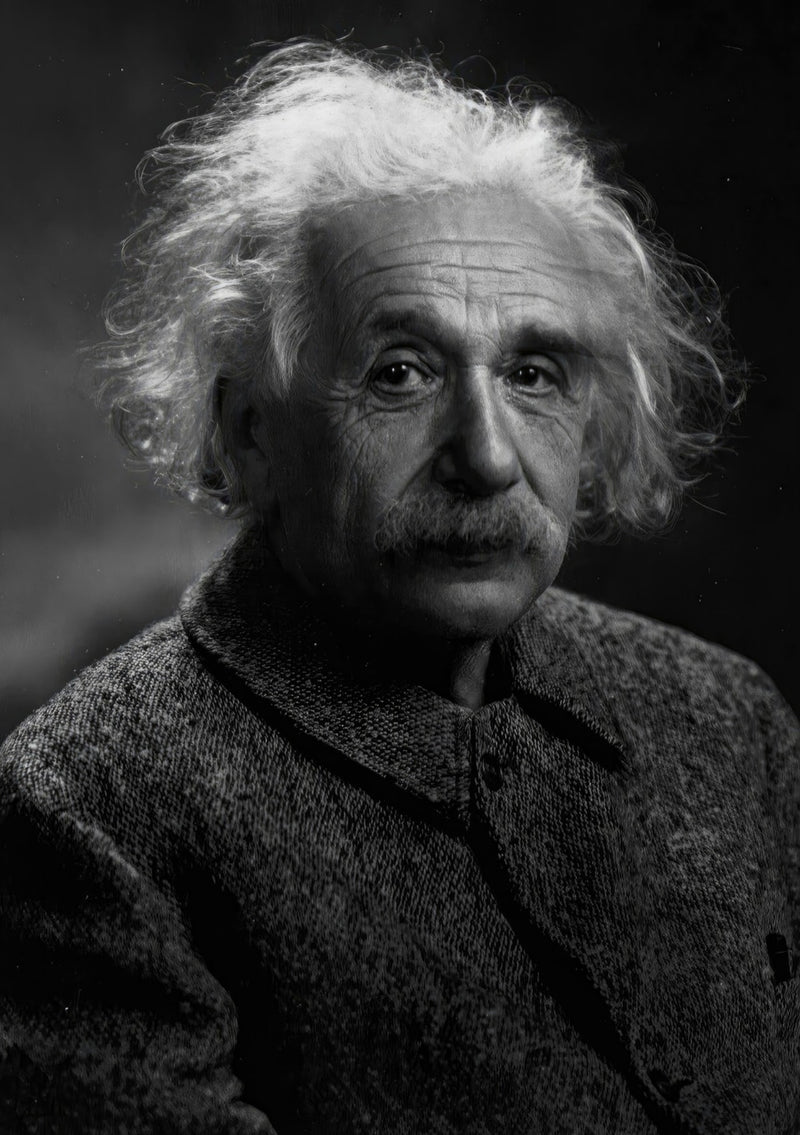 Albert Einstein Portrait