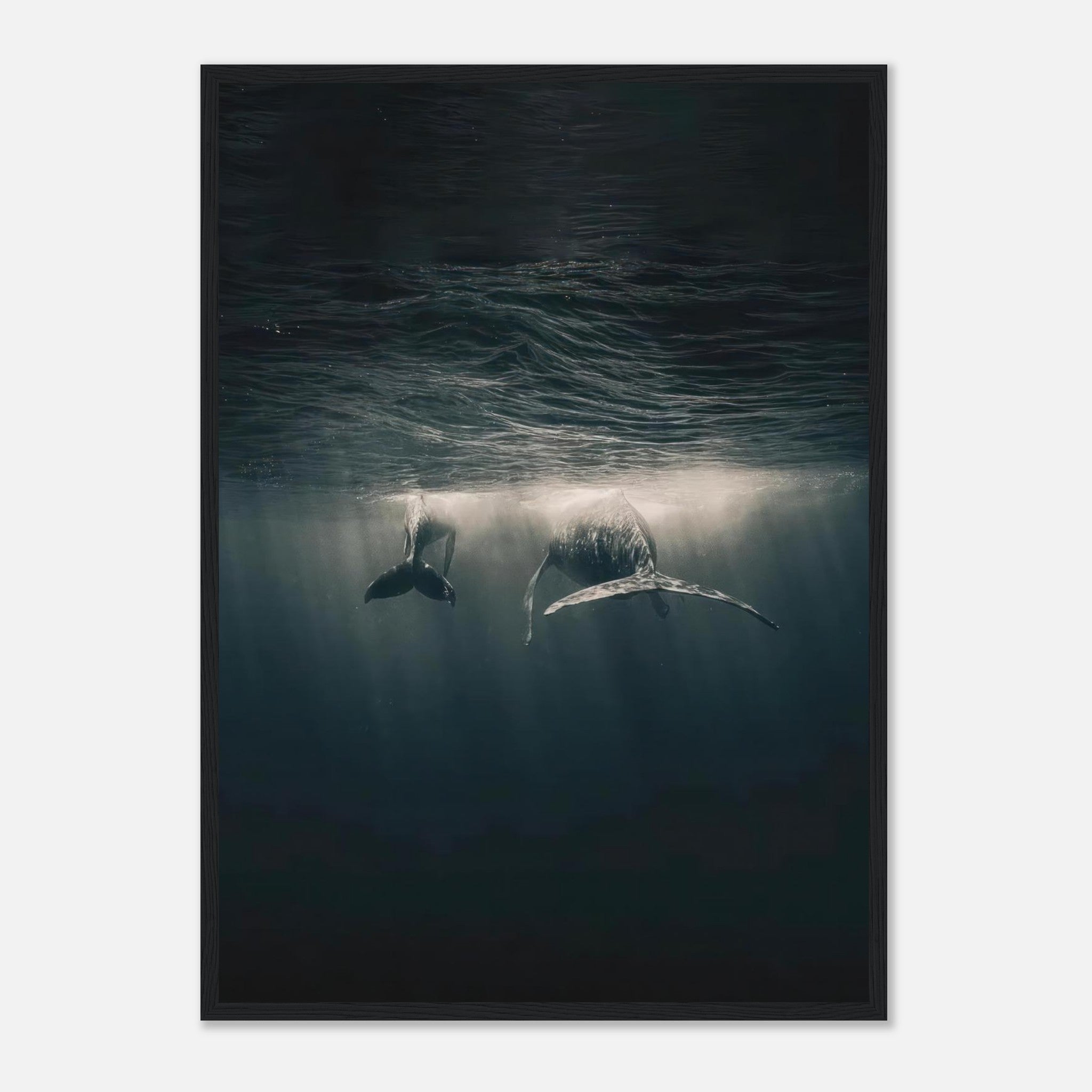 Majestic whales swimming underwater in ocean with sunlight rays illuminating their graceful movement.