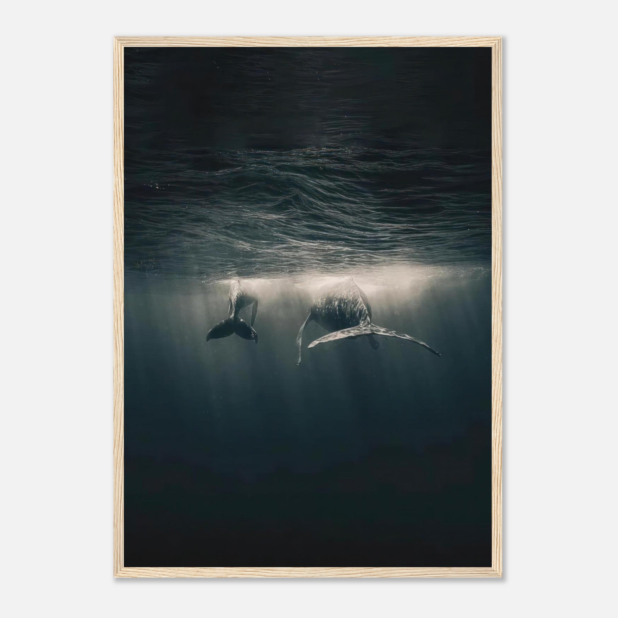 Whales swimming underwater in a framed print, showcasing serene ocean beauty and soft sunlight rays.