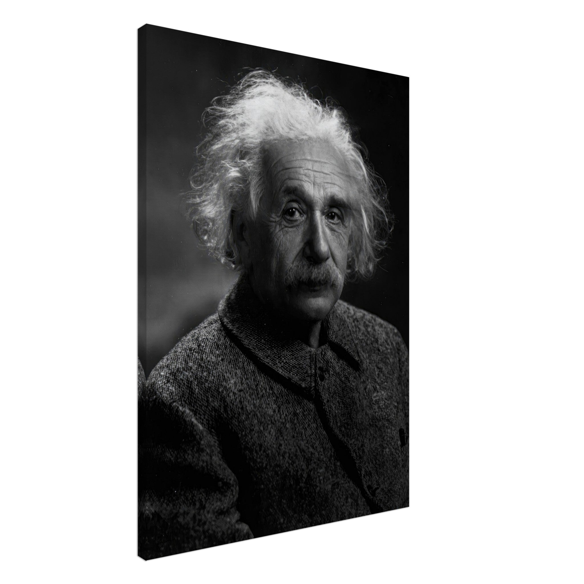Black-and-white canvas print of Albert Einstein showcasing his contemplative expression.