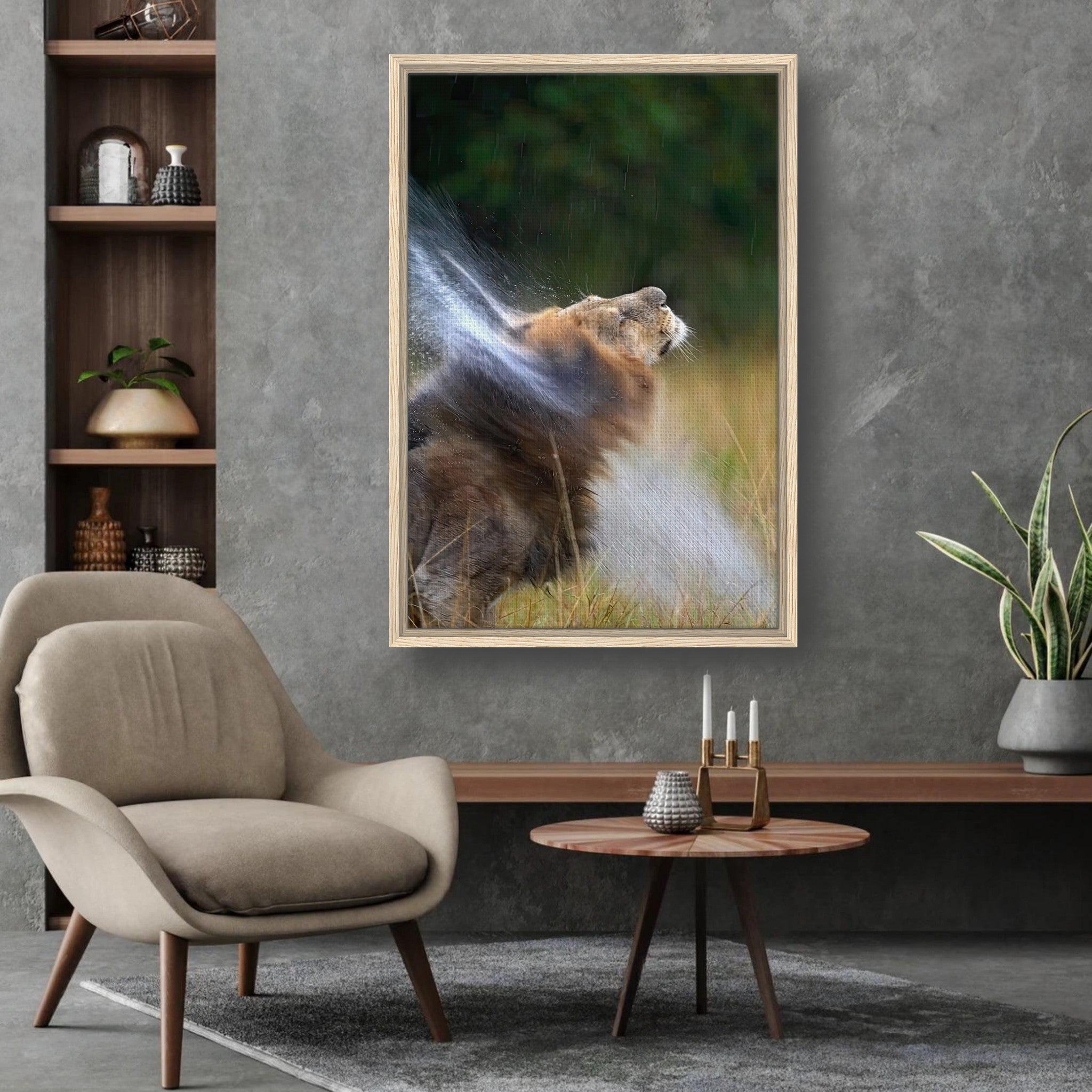 Framed canvas print of a lion shaking off water, showcasing nature's beauty and powerful motion in a modern living space.