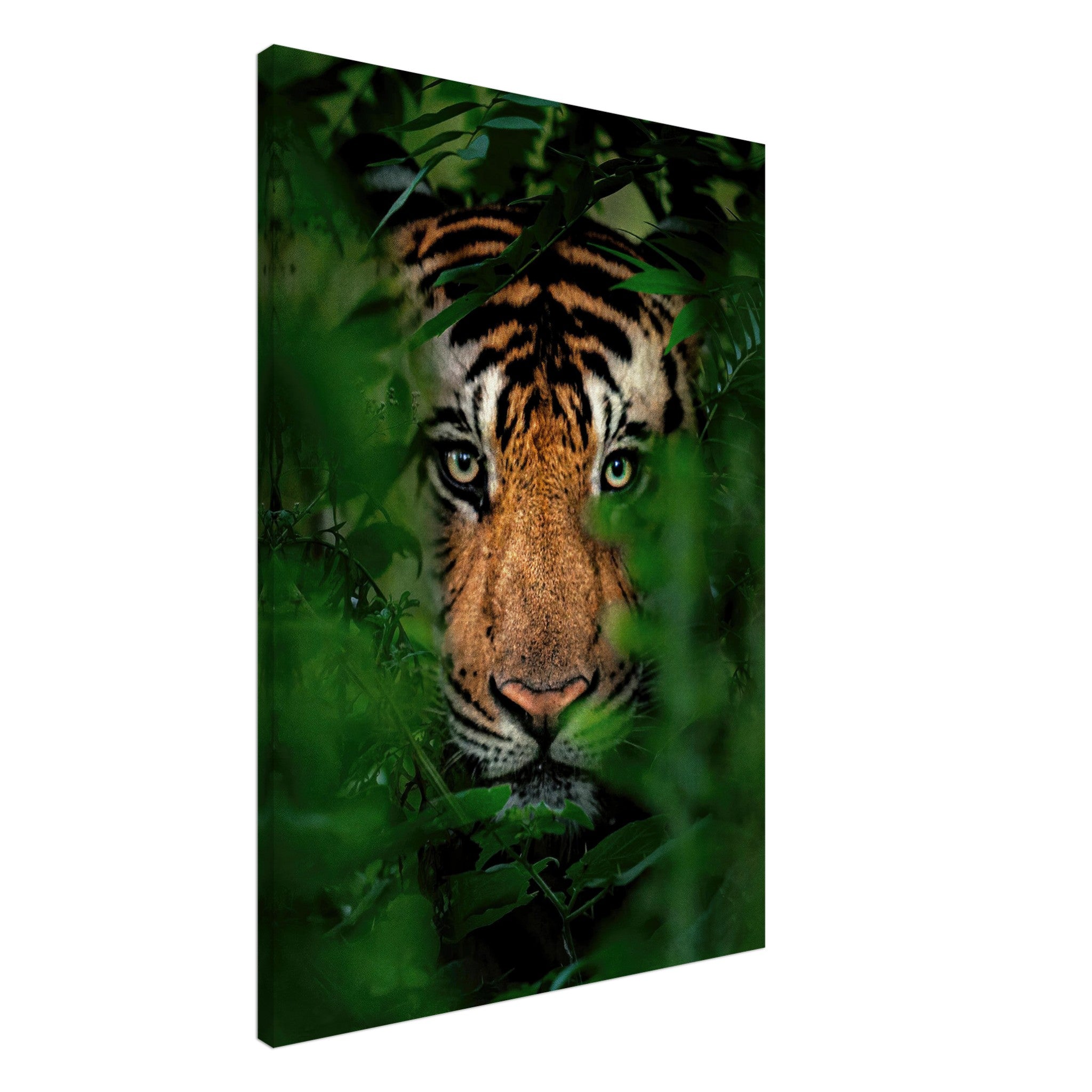 Majestic tiger peering through lush green foliage on canvas, exuding strength and elegance in a jungle setting.