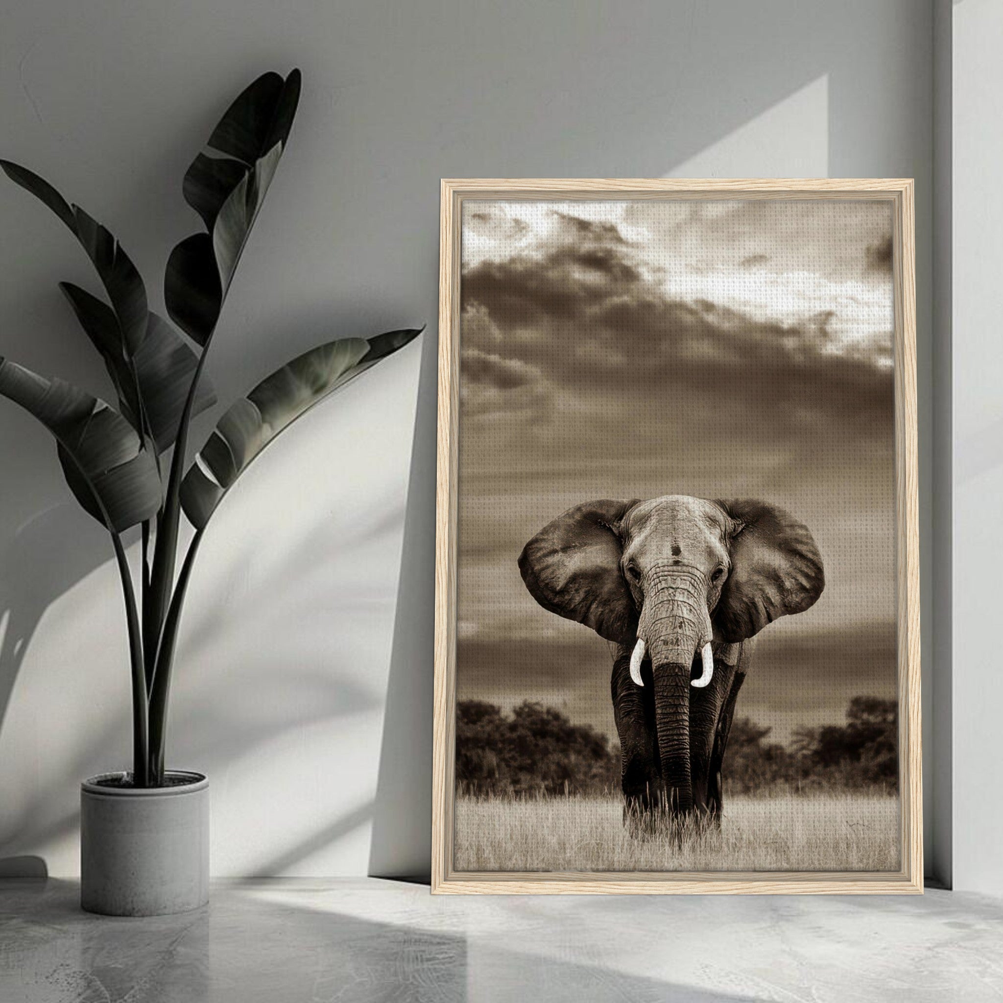 Black and white elephant portrait canvas print framed in a modern decor setting.