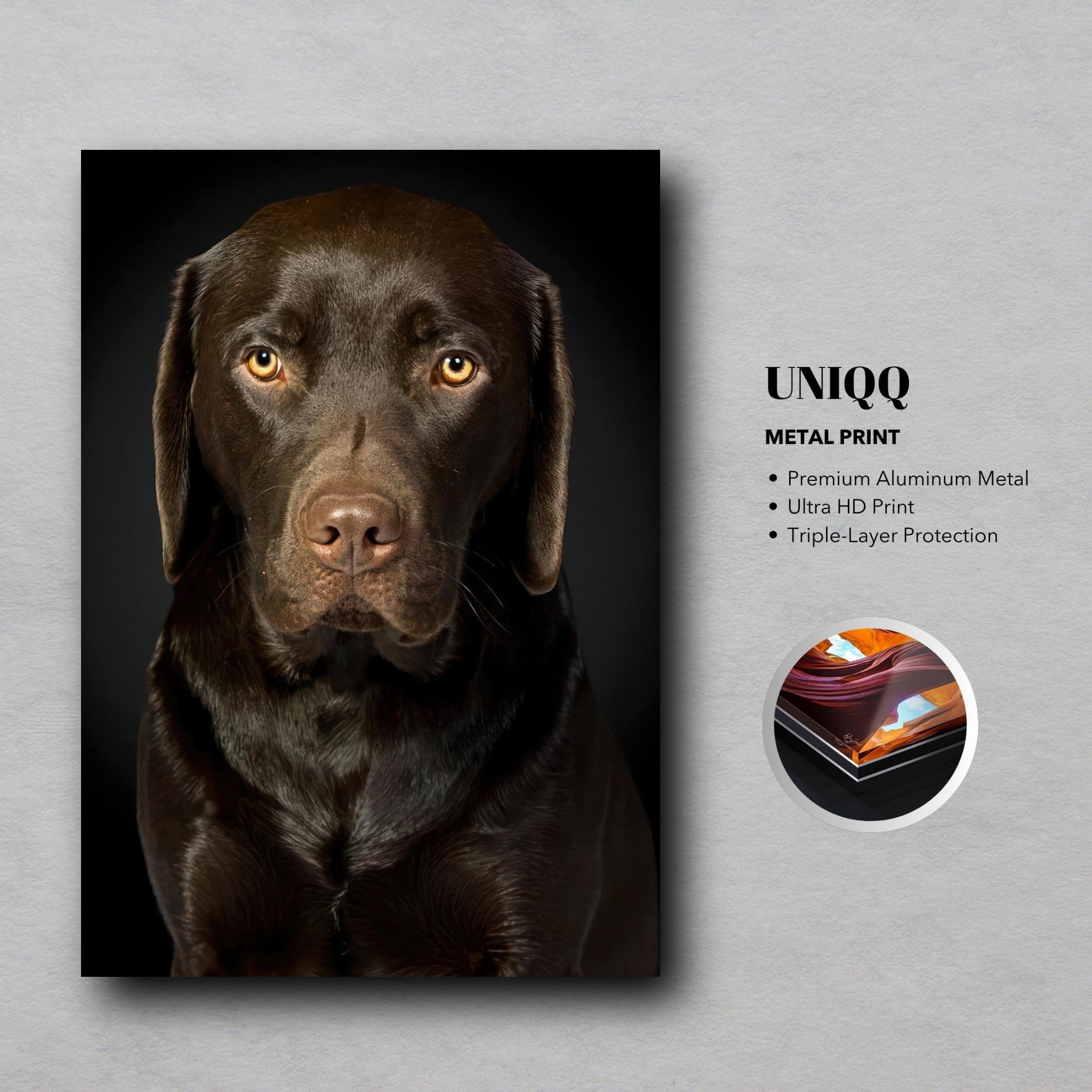 Chocolate Labrador portrait on premium metal print with amber eyes and dark background.