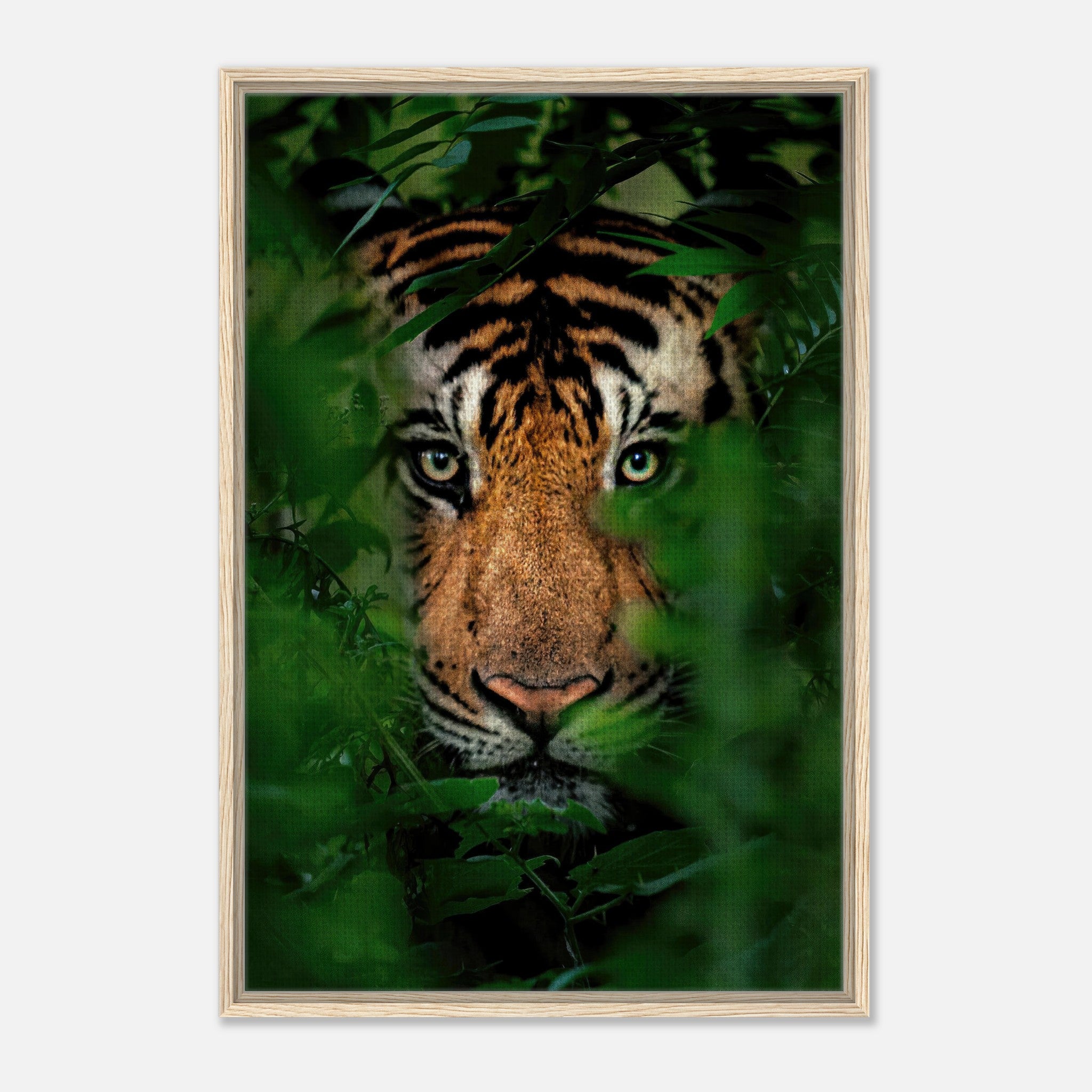 Tiger Through Jungle framed canvas print showcasing a tiger's intense gaze amidst lush green foliage.