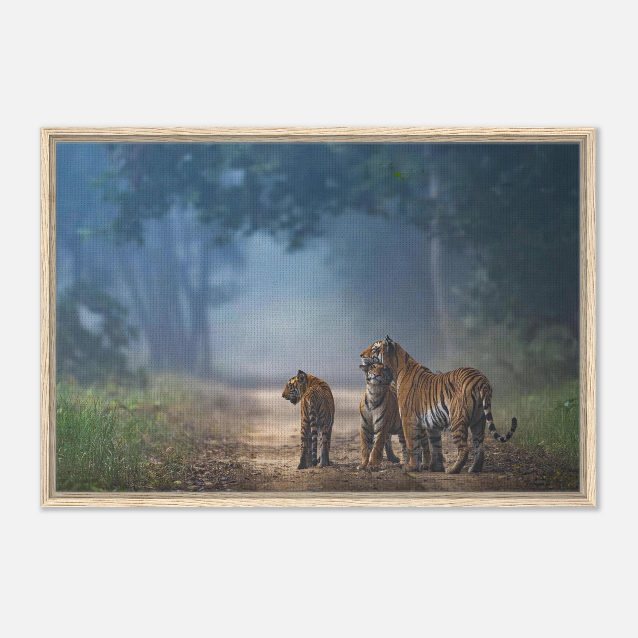Framed canvas print of a tiger family in a serene forest, showcasing the beauty of nature and wildlife.