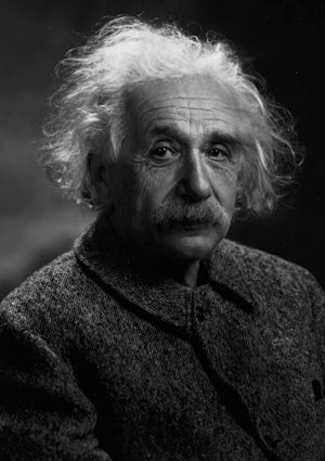 Albert Einstein Portrait