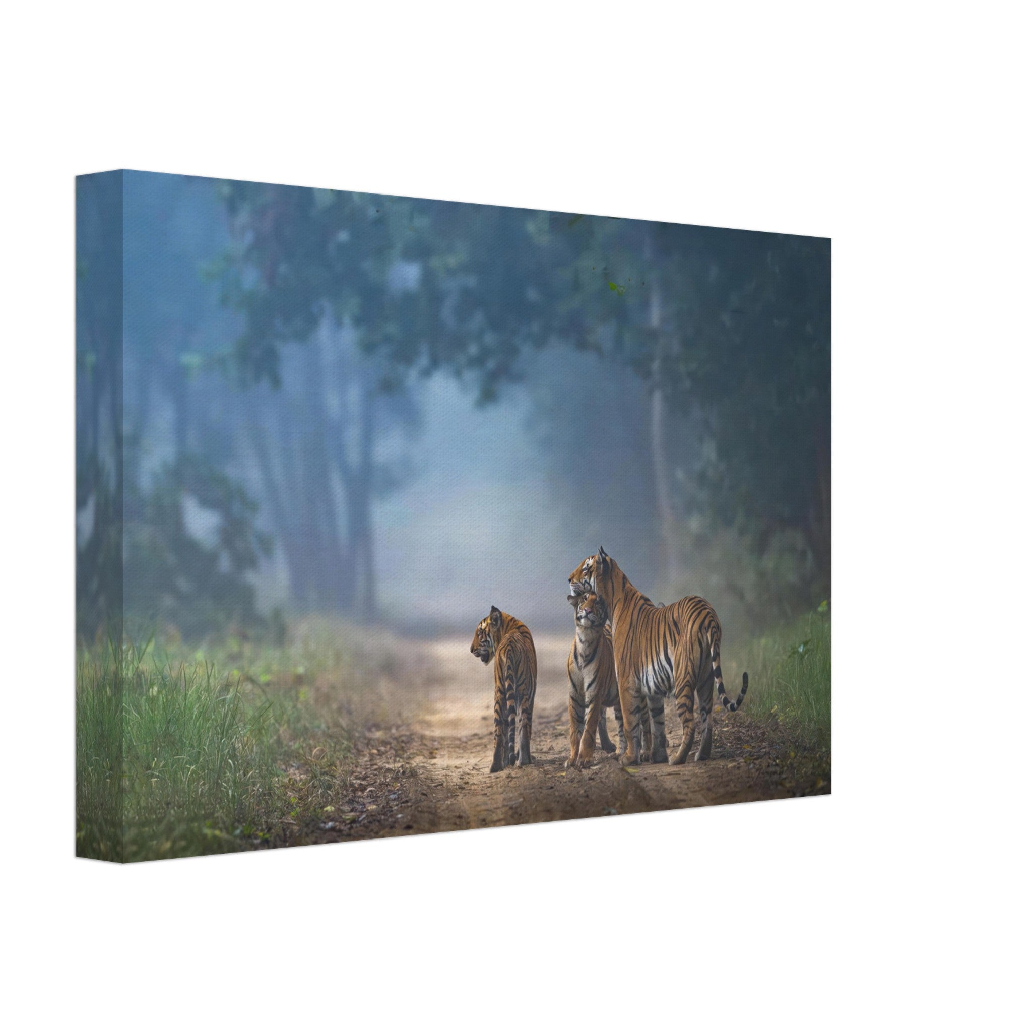 Canvas art featuring a tiger family walking through a misty forest, showcasing nature's beauty and unity.