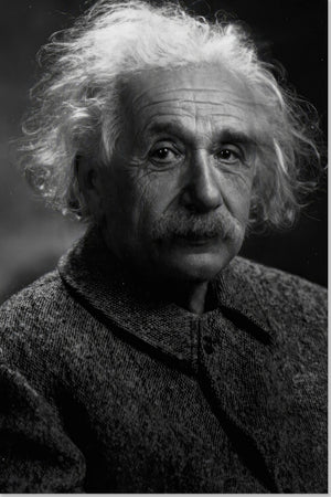 Albert Einstein Portrait