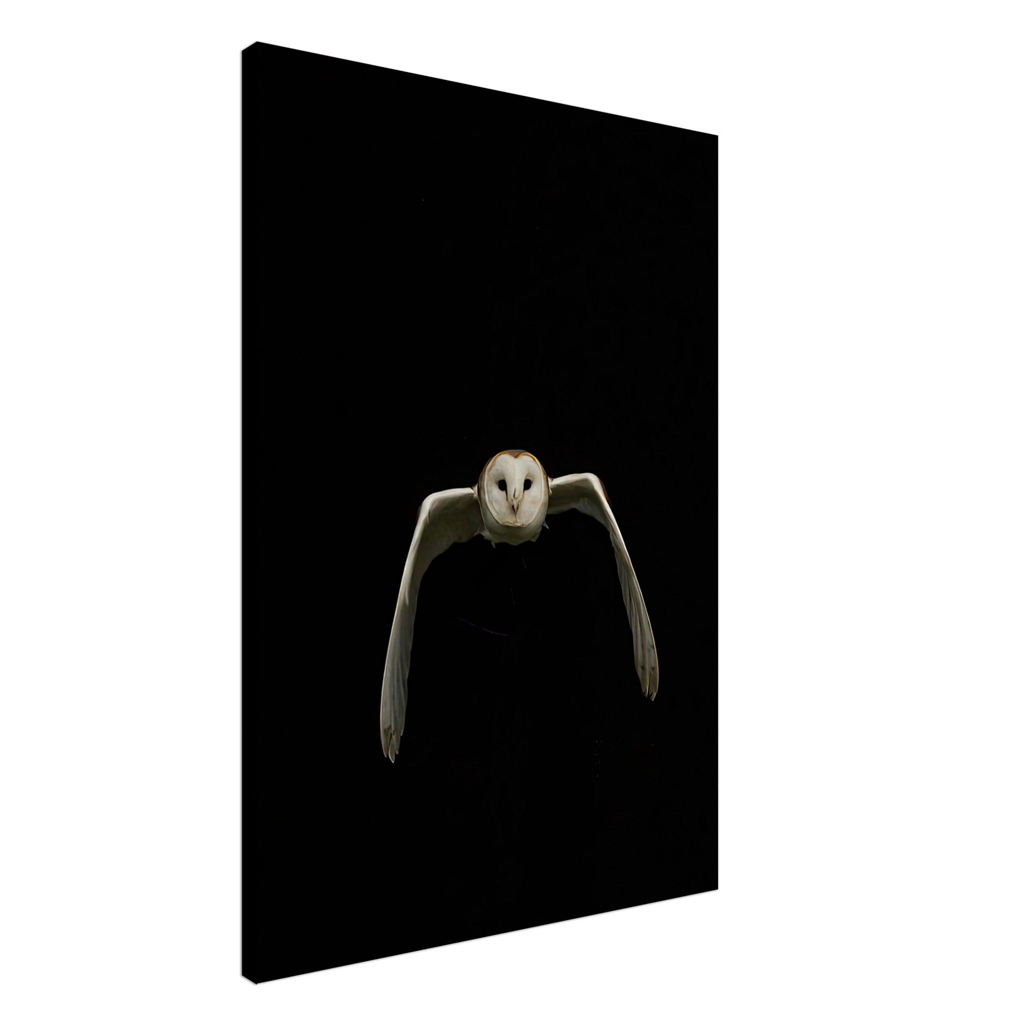 Stunning owl canvas artwork featuring a majestic owl in flight against a black background, perfect for nature lovers.