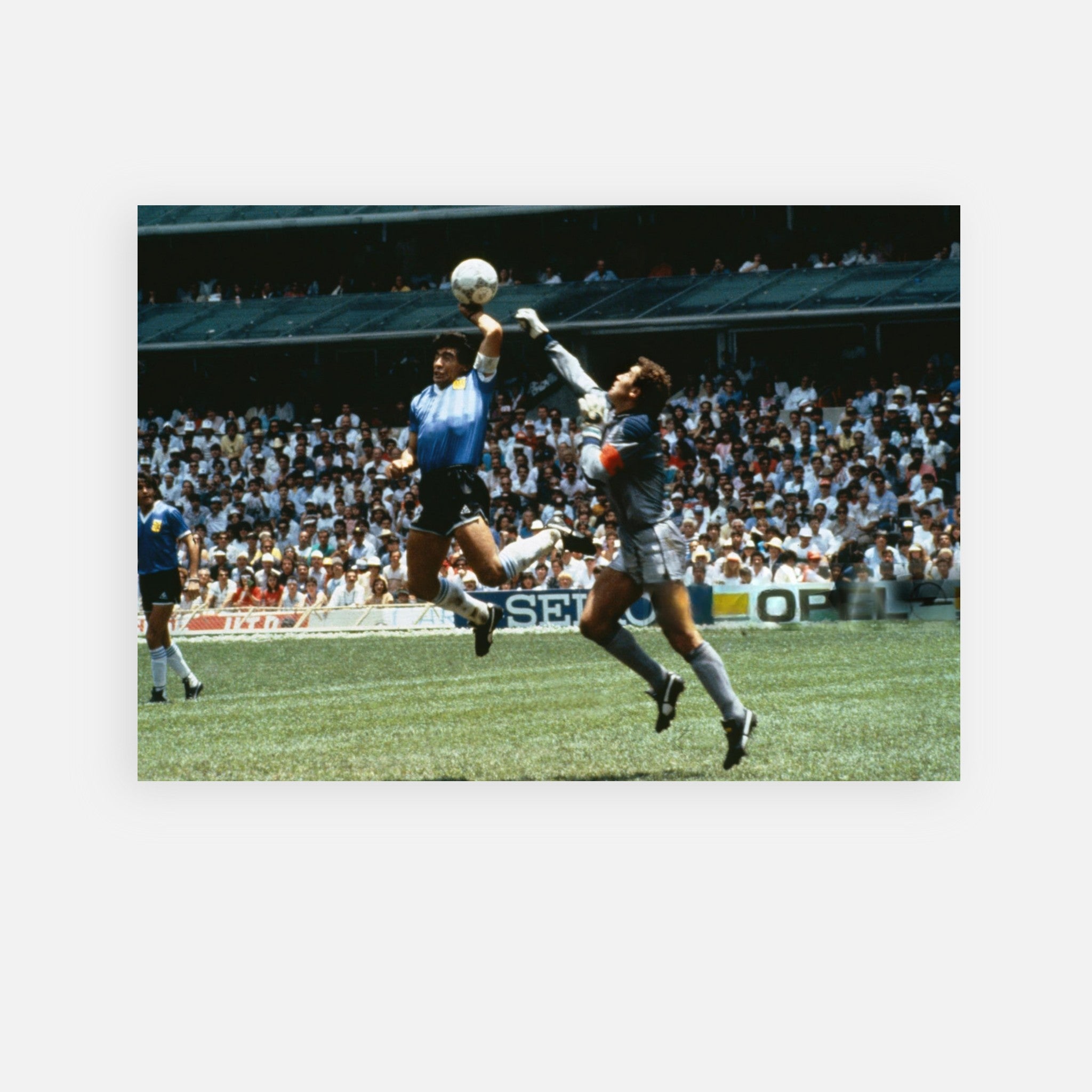 fae41c81-ddb5-419d-b63a-19e081826900