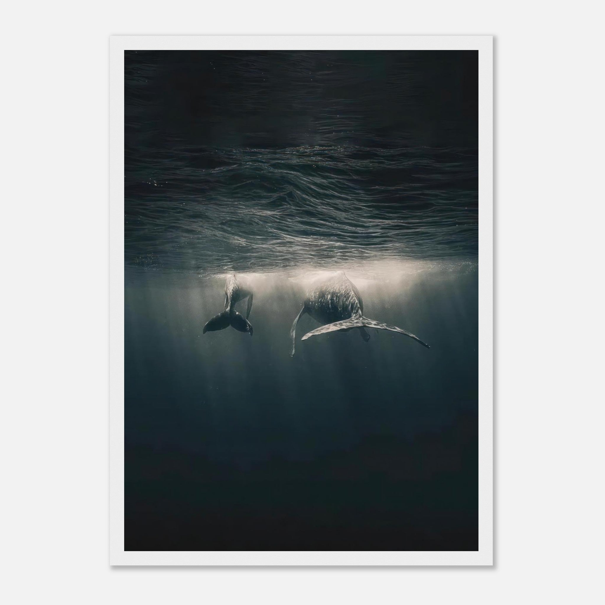 Whales gliding gracefully underwater in a serene ocean setting, framed print showcasing marine beauty.