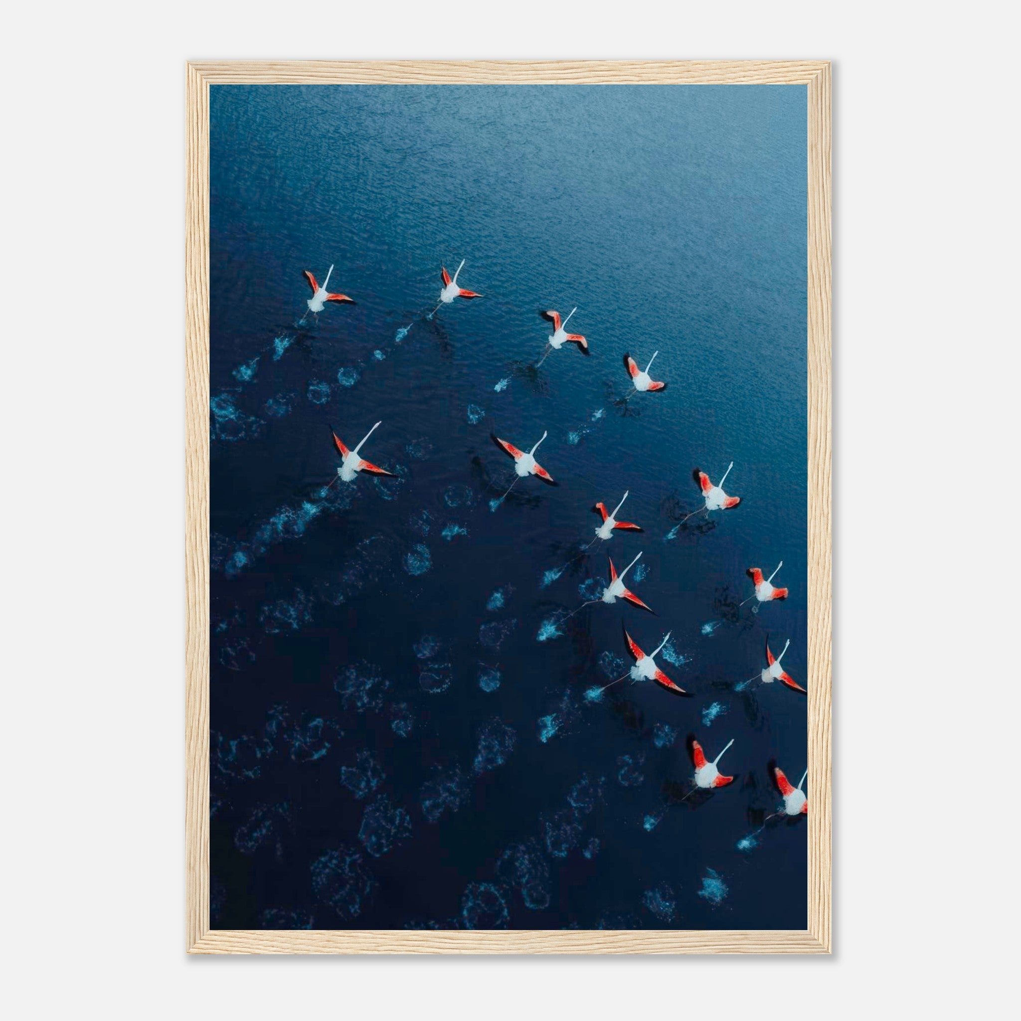 Aerial view of flamingos in flight over deep blue waters, framed print showcasing vibrant pink and navy colors.
