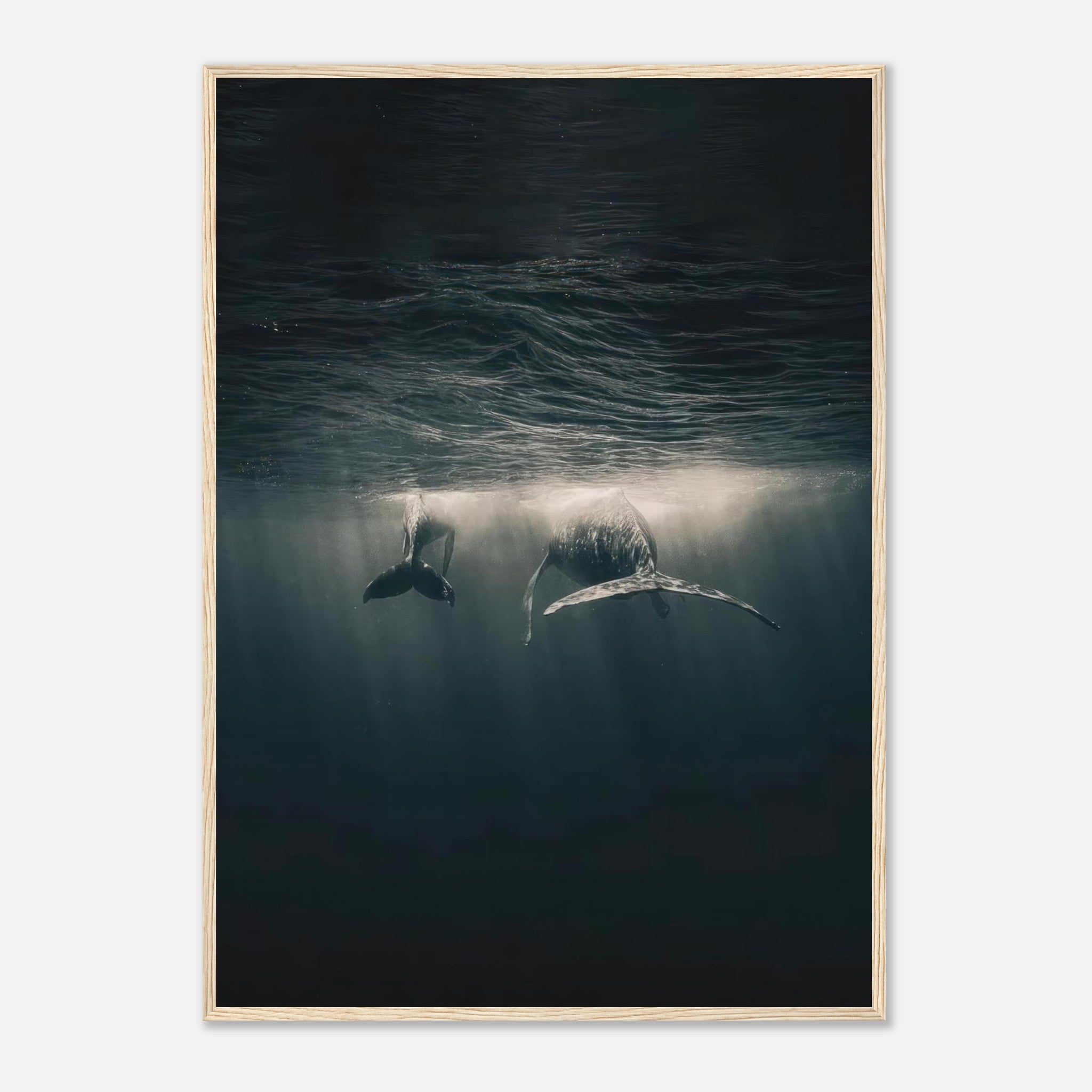 Whales gliding underwater in the ocean, framed print showcasing marine beauty and serenity.