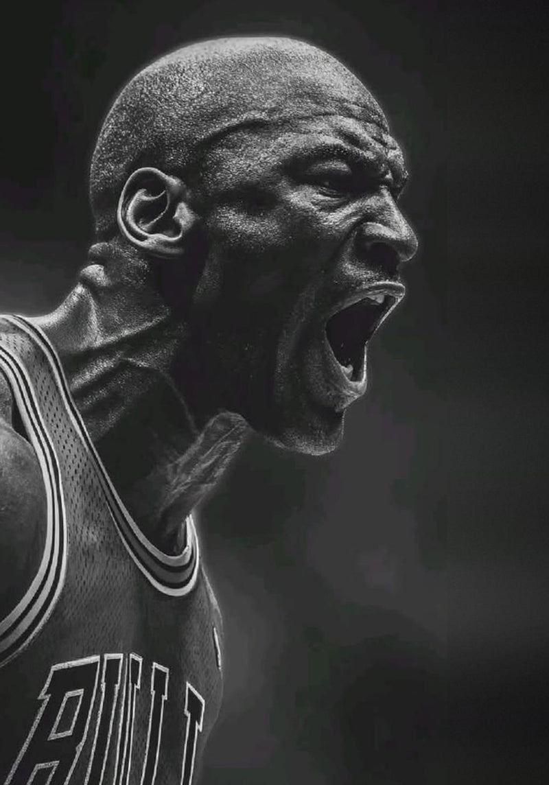 Michael Jordan Chicago Bulls