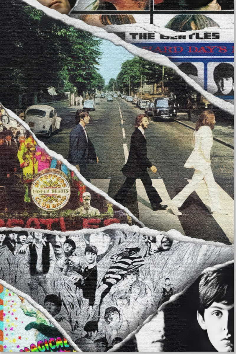 Die Evolution der Beatles