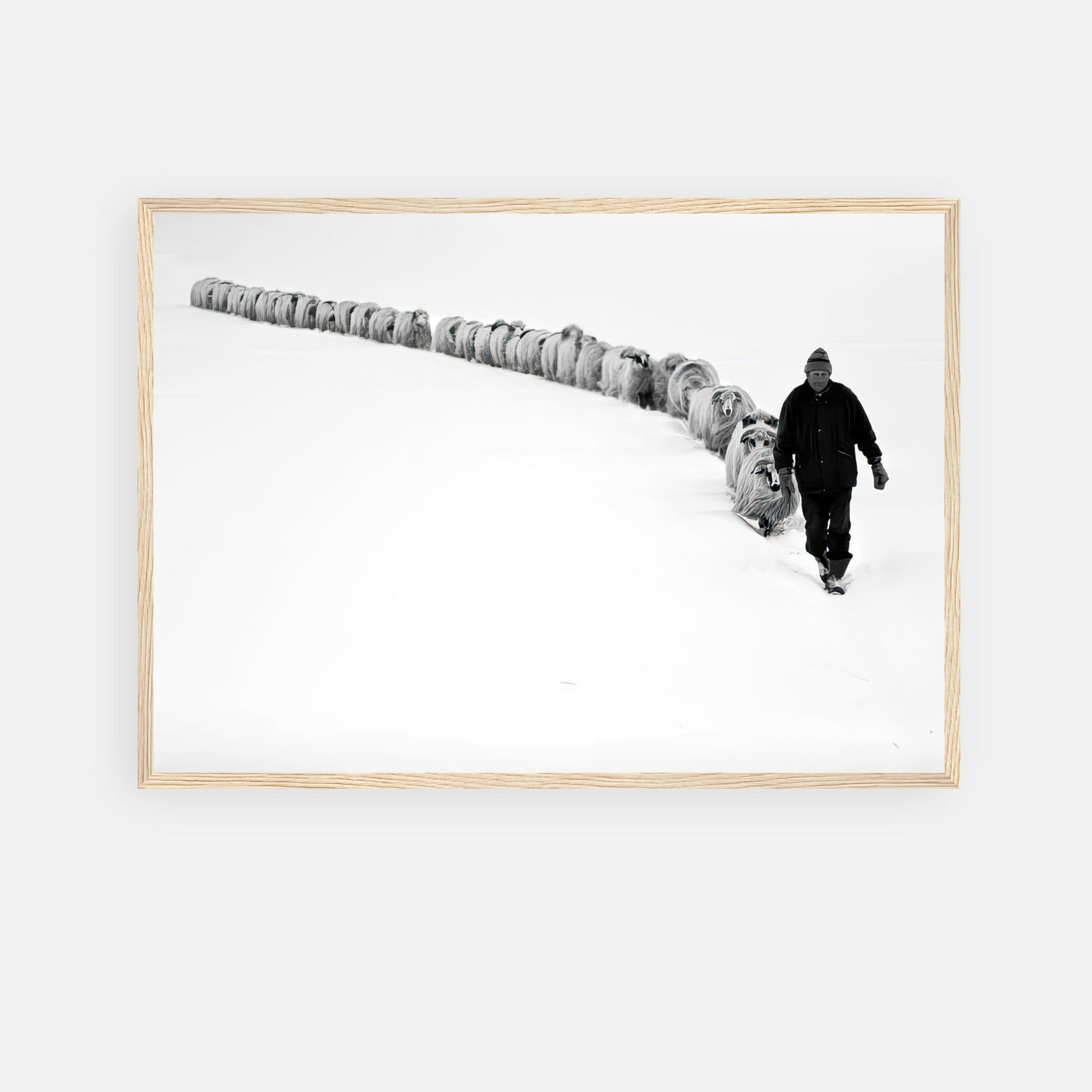 Framed print of a shepherd guiding a flock through a snowy landscape in black and white.