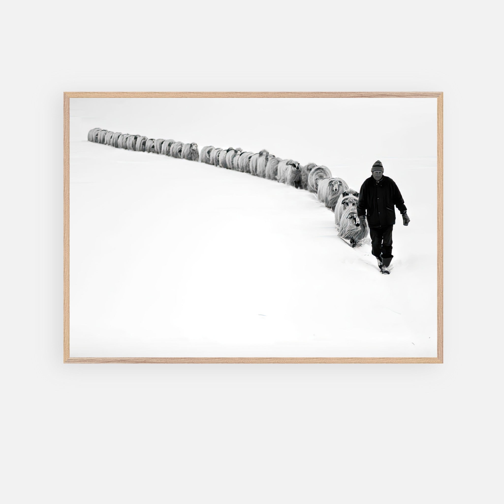 Black-and-white fine art print depicting a shepherd guiding a flock through a snowy landscape.