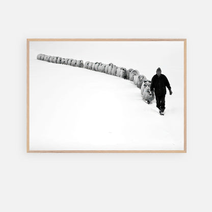 Black-and-white fine art print depicting a shepherd guiding a flock through a snowy landscape.