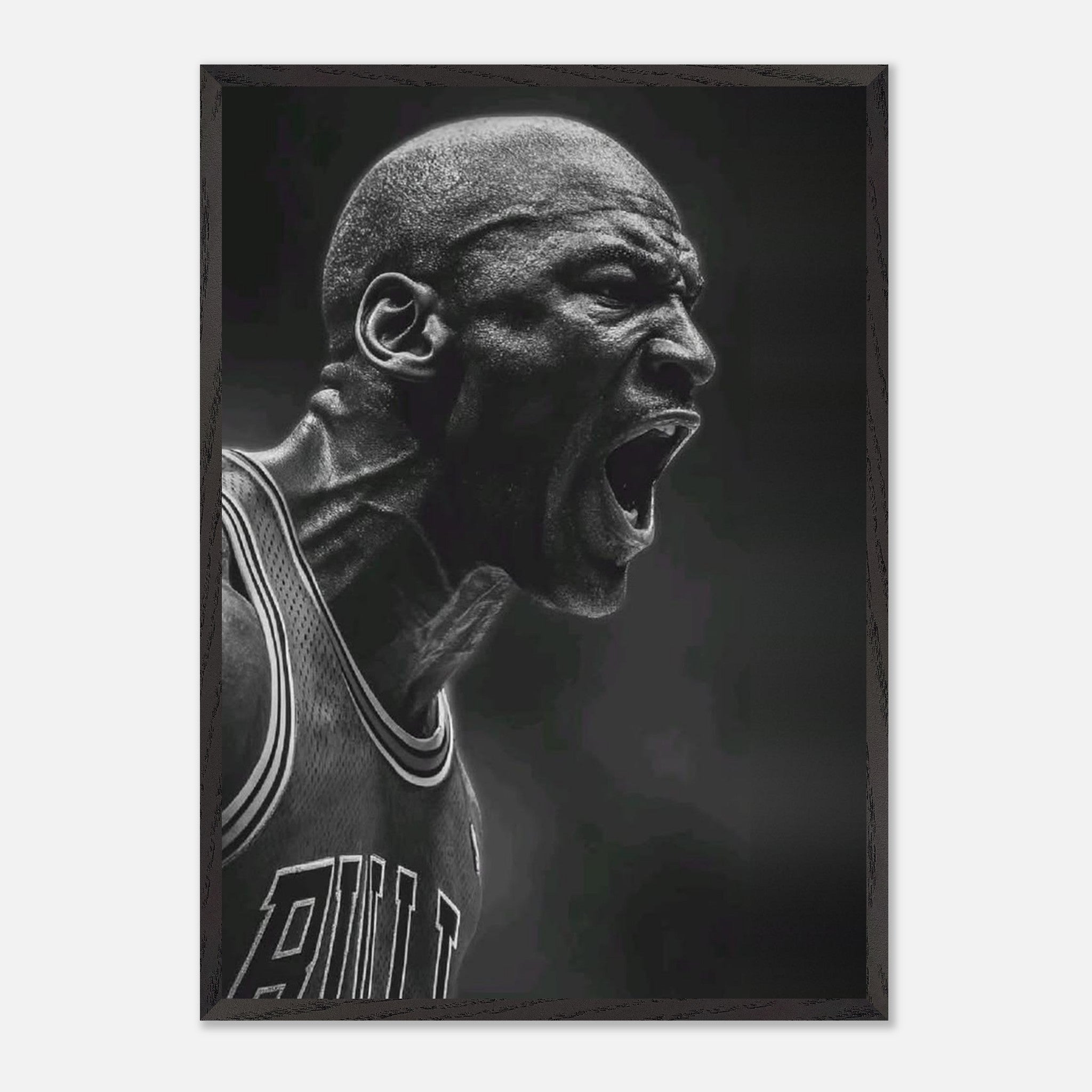 Michael Jordan Chicago Bulls