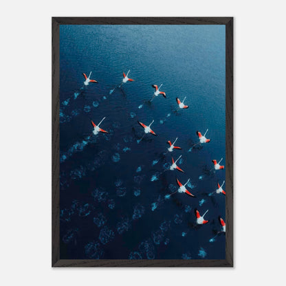Aerial view of flamingos flying over deep blue water, framed print capturing nature's elegance.