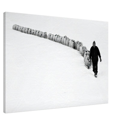 Shepherd guiding flock through a serene snow-covered landscape in black-and-white canvas print.