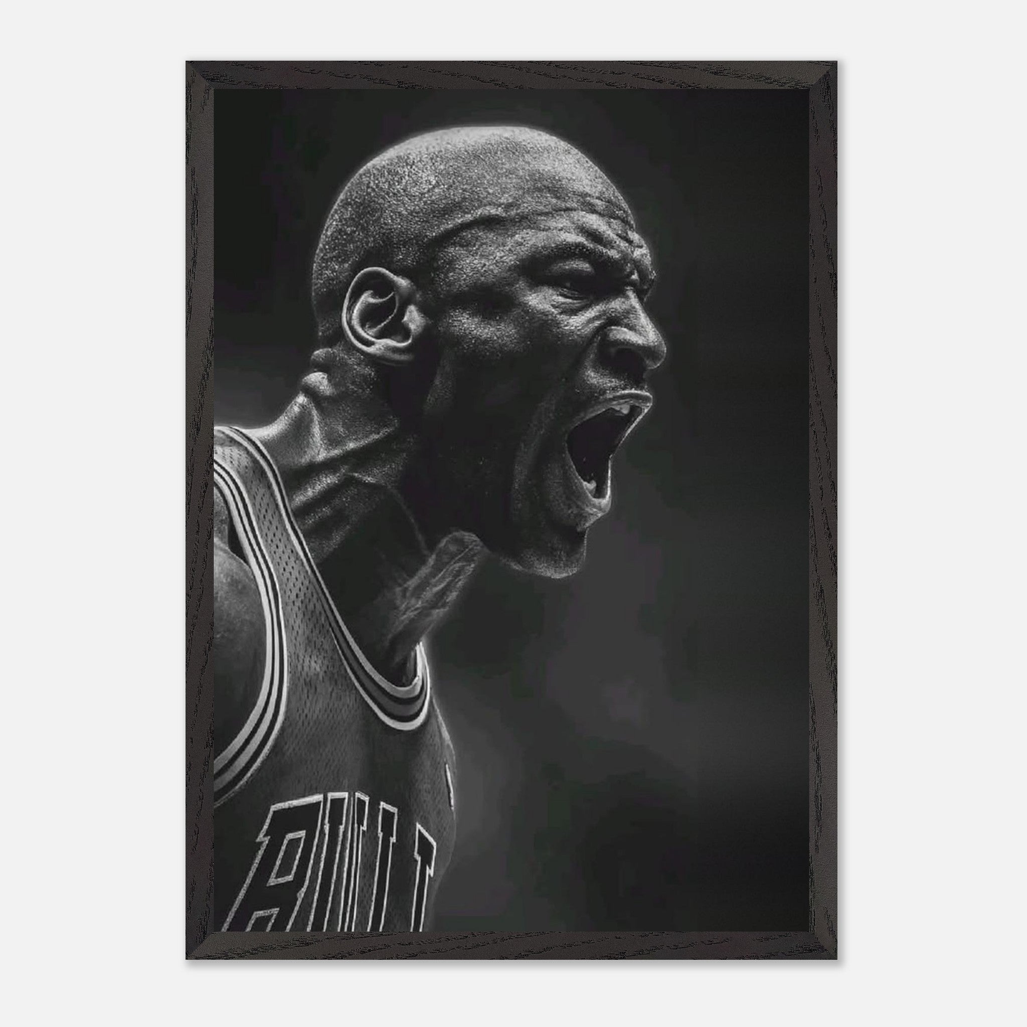 Michael Jordan Chicago Bulls