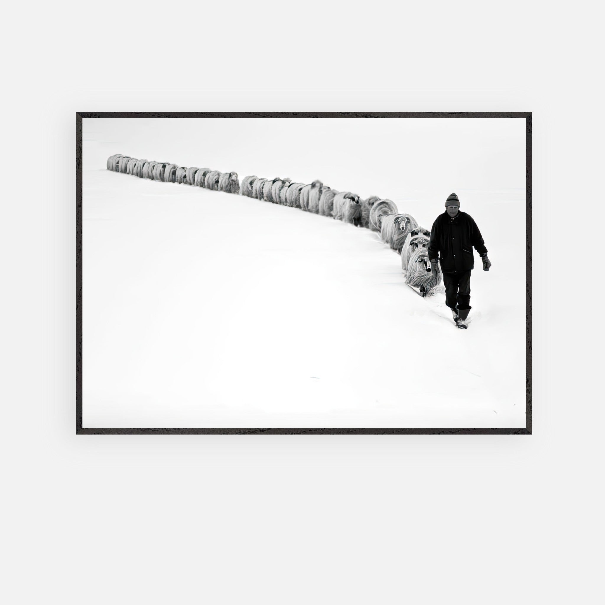 Black-and-white fine art print of a shepherd walking with a flock through a snowy landscape.