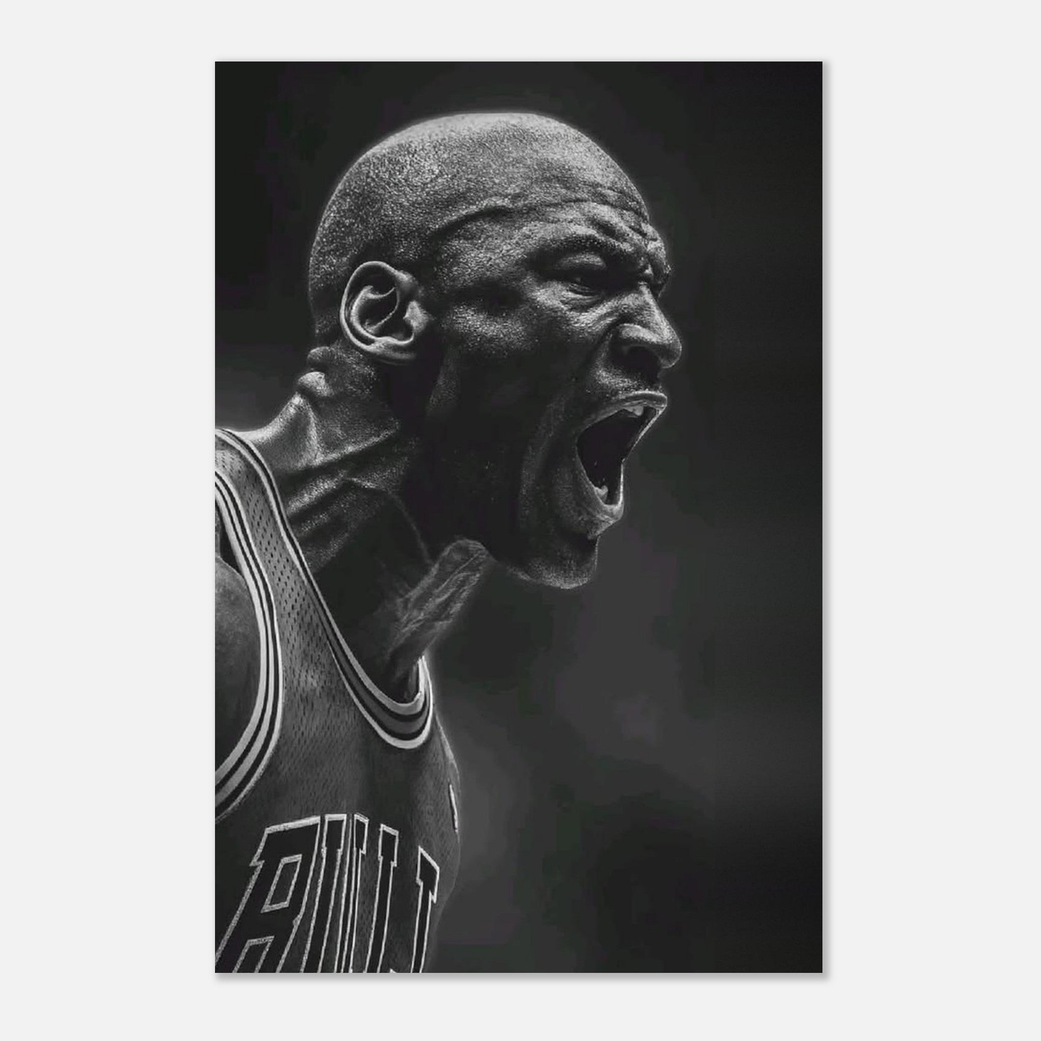 Michael Jordan Chicago Bulls