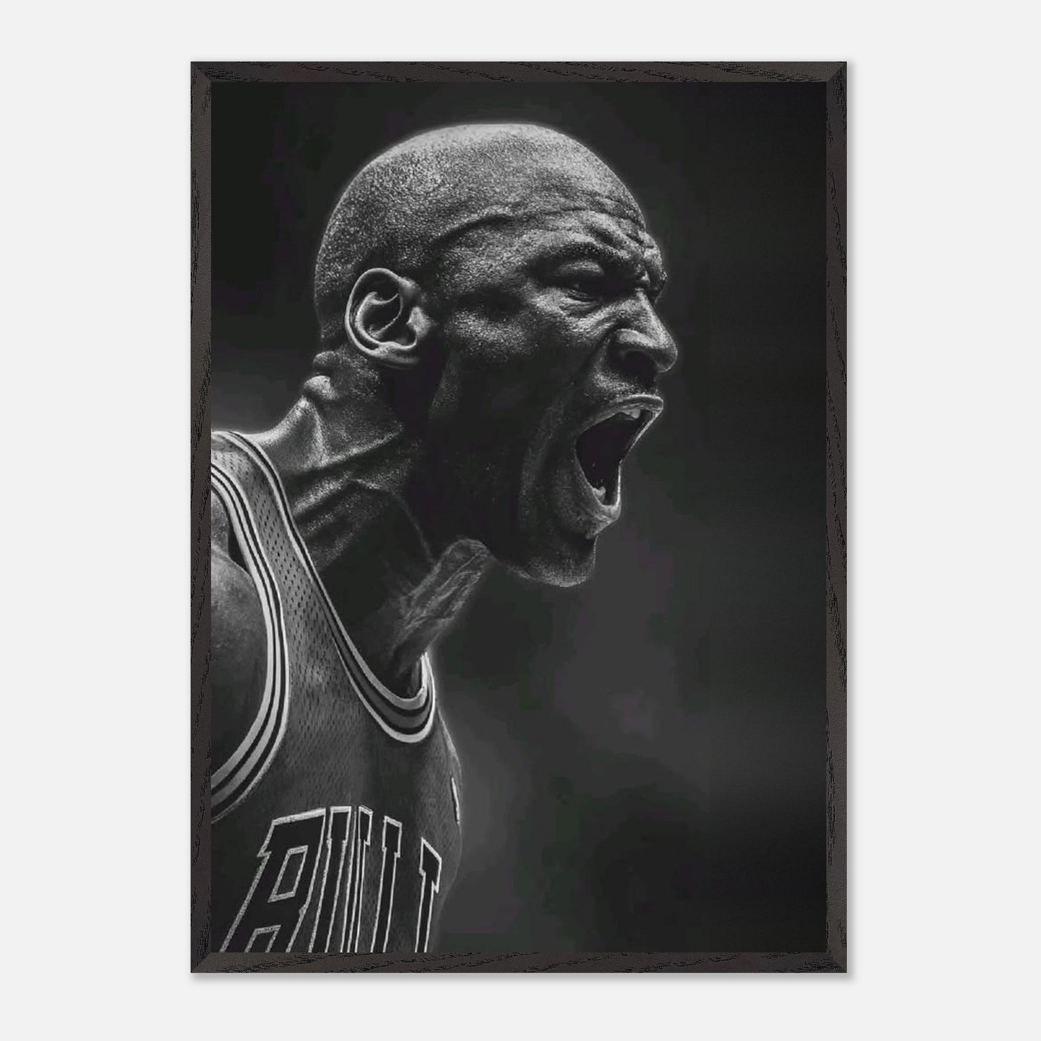 Michael Jordan Chicago Bulls