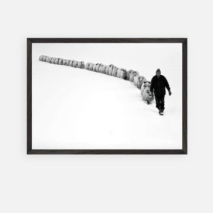 Shepherd guiding sheep through a snowy landscape in a vintage framed black-and-white photograph.