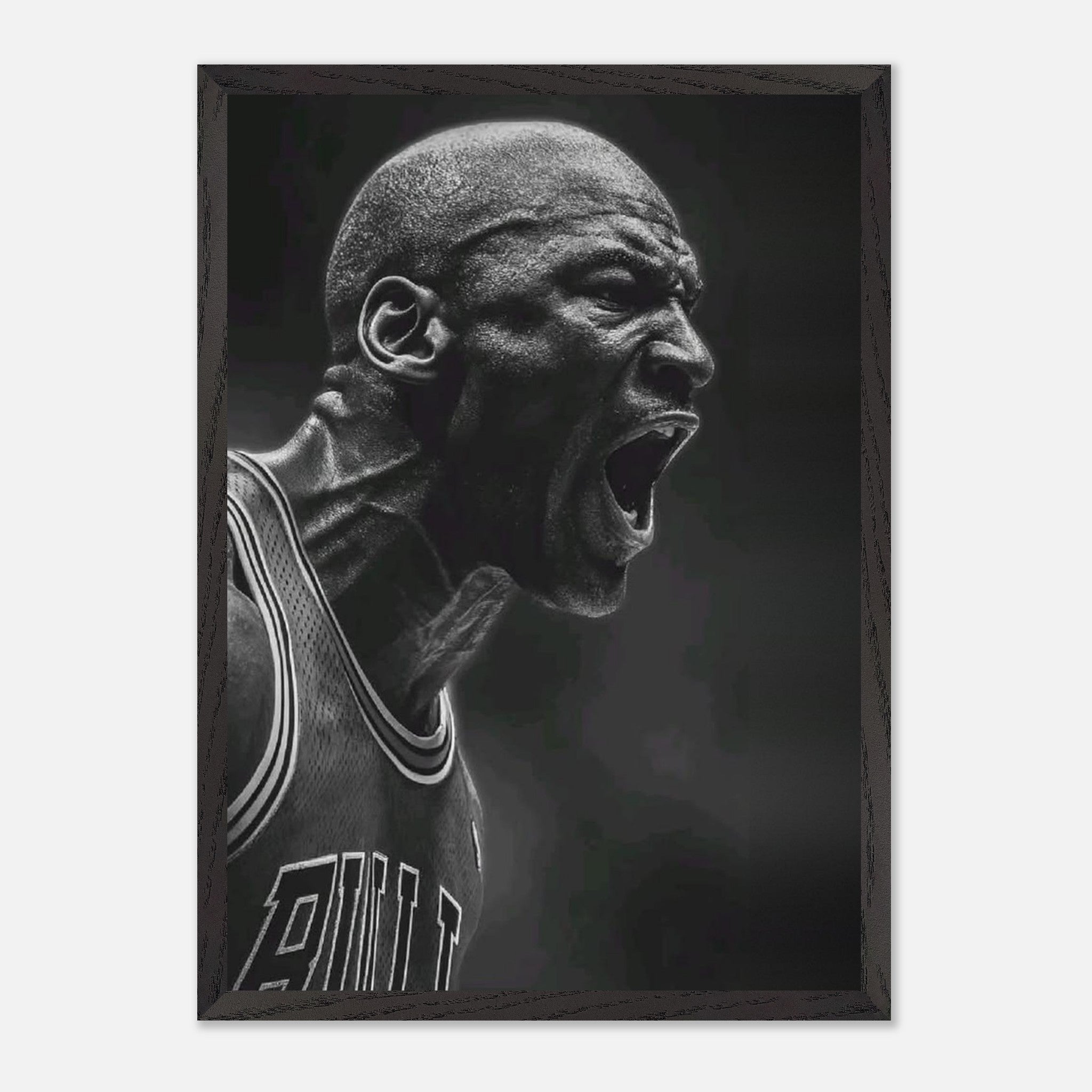 Michael Jordan Chicago Bulls