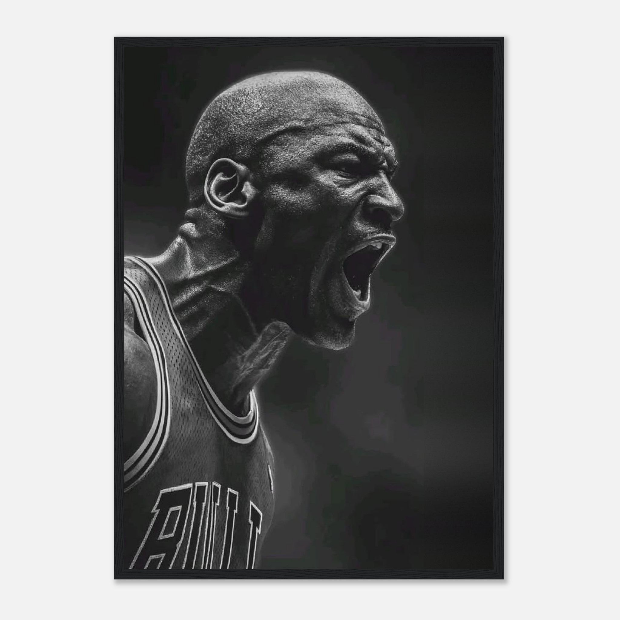 Michael Jordan Chicago Bulls