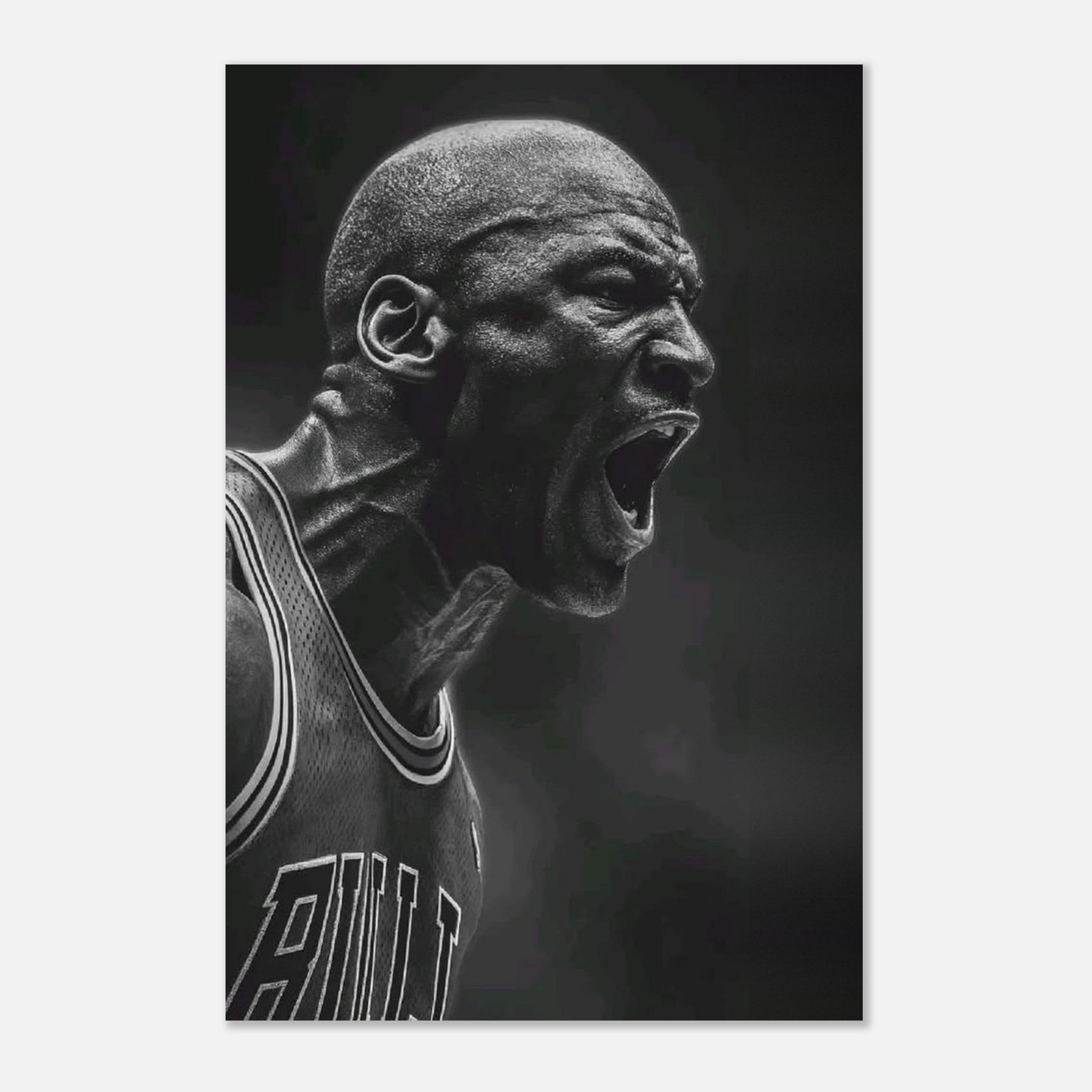 Michael Jordan Chicago Bulls