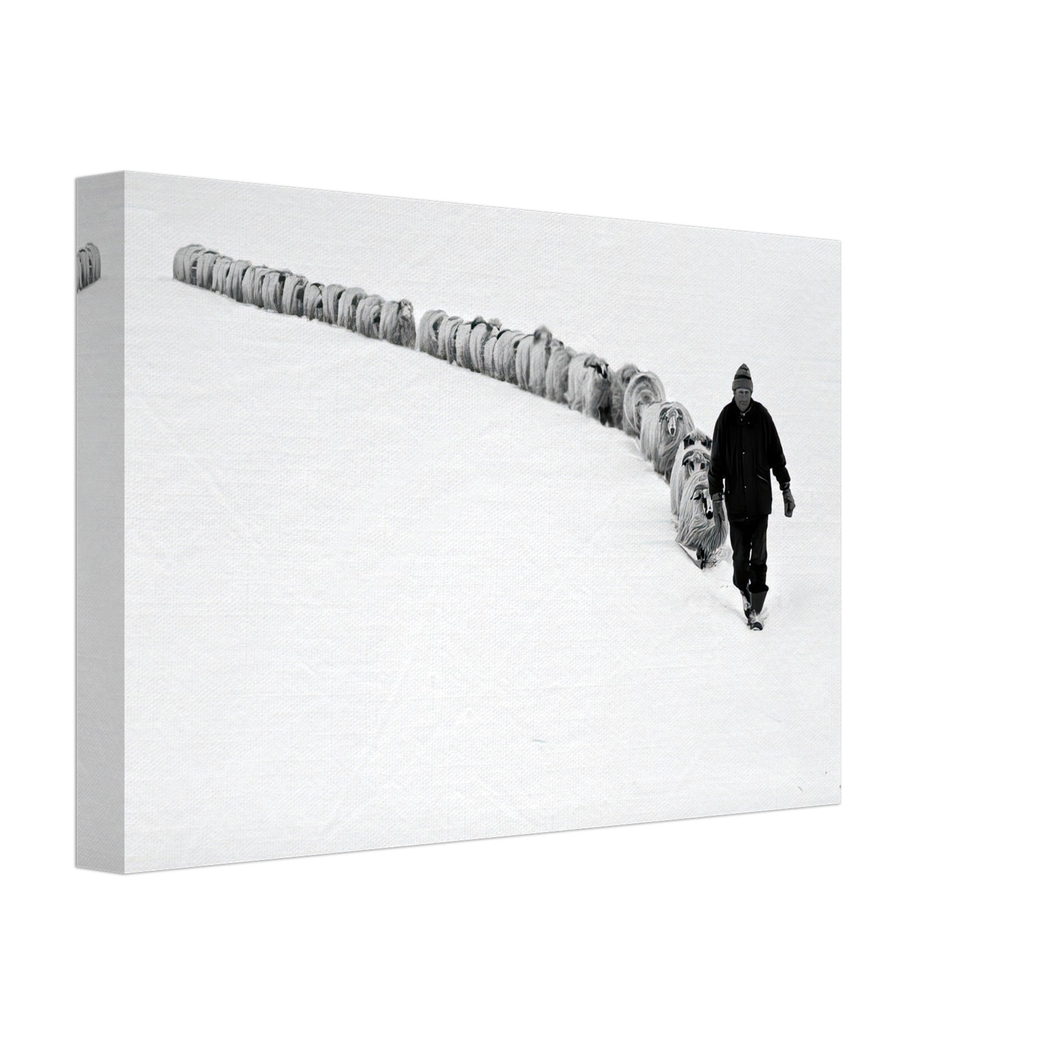 Shepherd guiding his flock through a serene snow-covered landscape in a striking black-and-white canvas print.