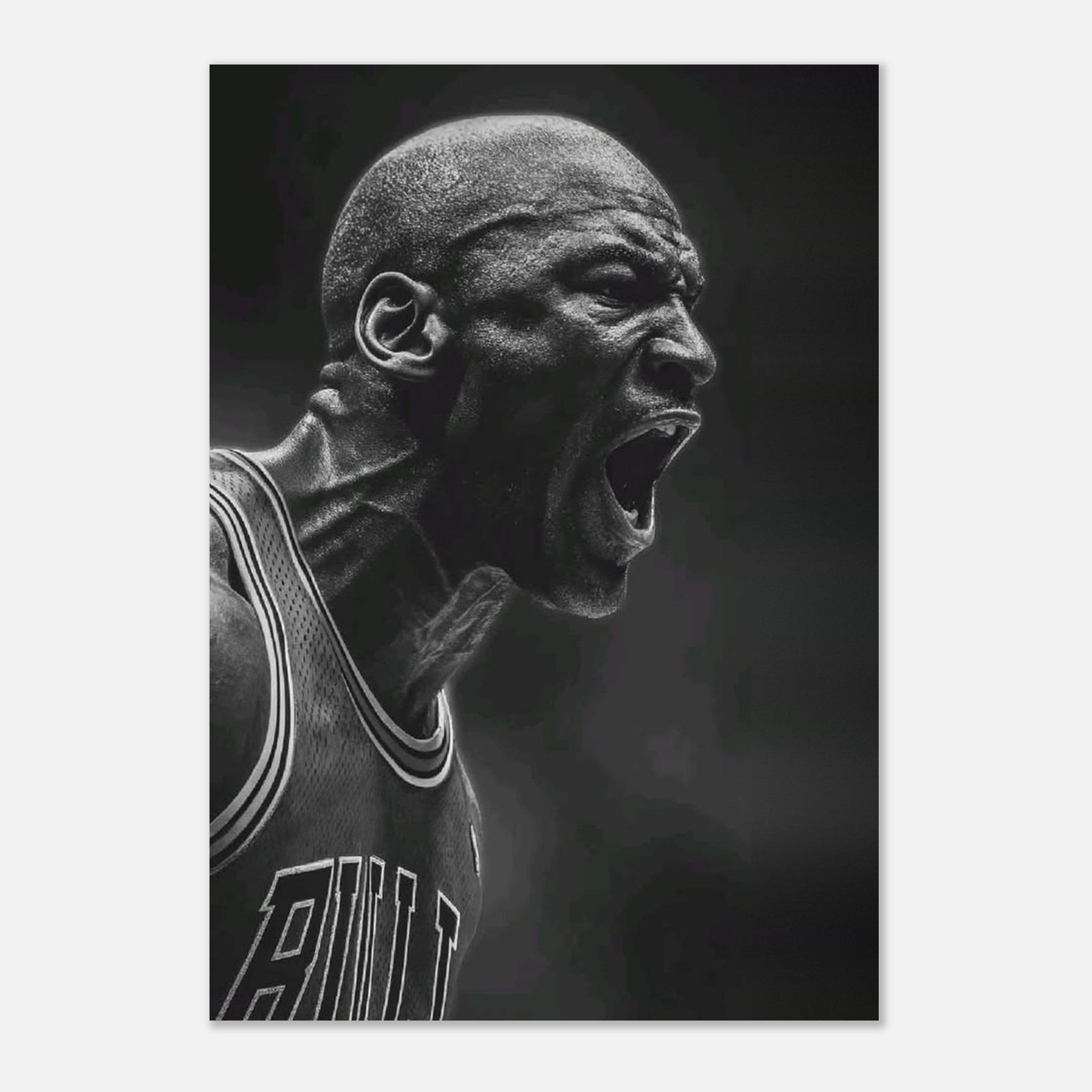 Michael Jordan Chicago Bulls