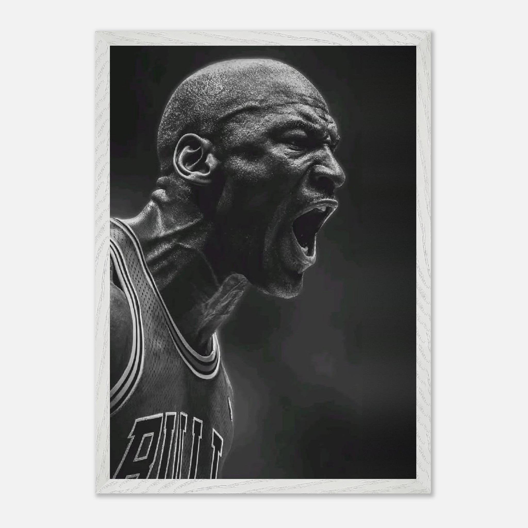 Michael Jordan Chicago Bulls