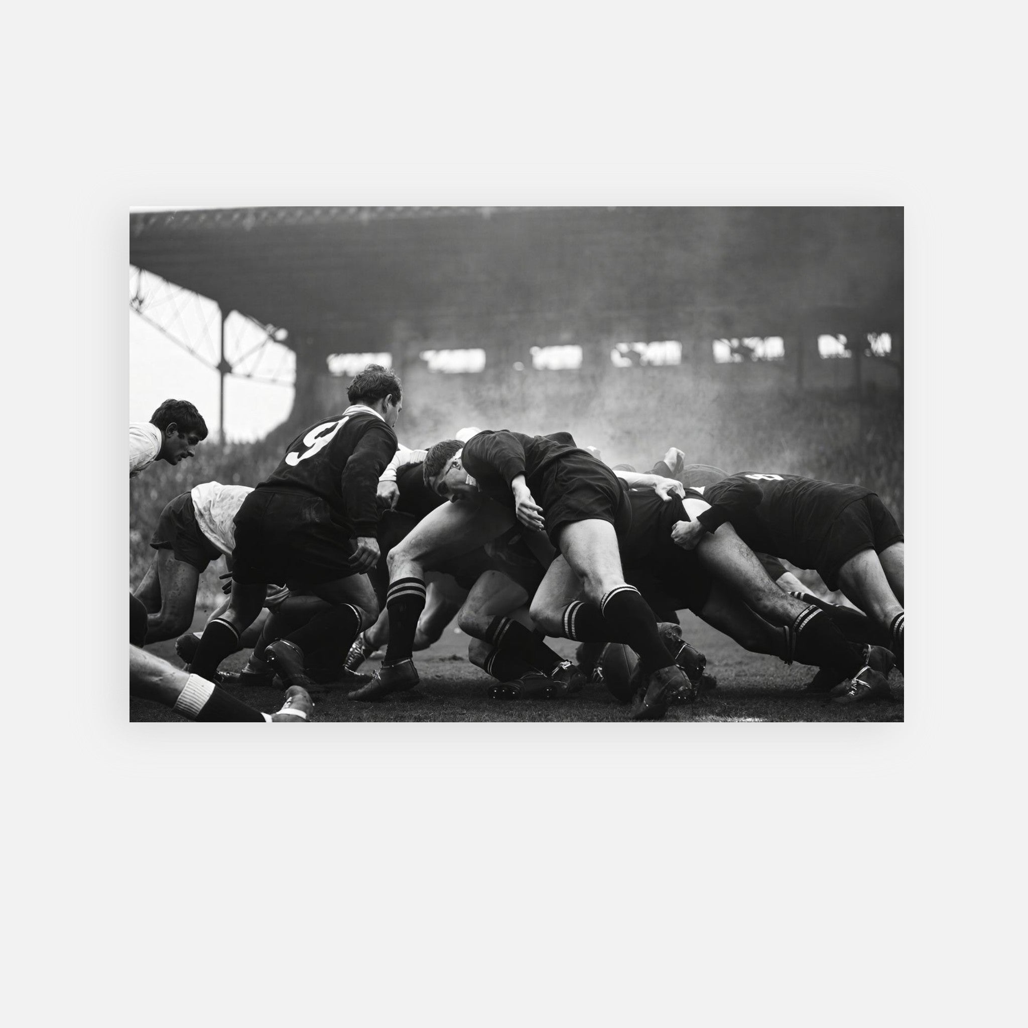 France vs New Zealand Rugby 1967