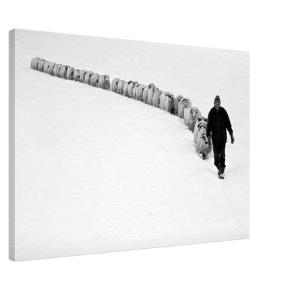 Shepherd leading a flock of sheep through a serene snow-covered landscape in black and white.