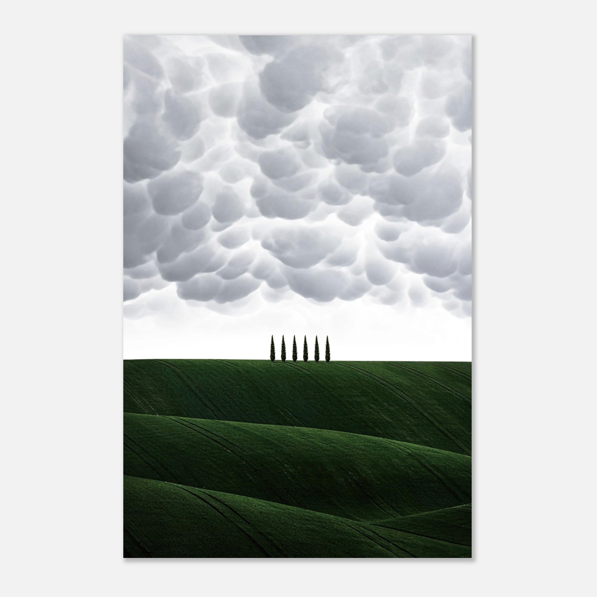 Scenic metal print of Tuscany, featuring rolling green hills and iconic cypress trees under dramatic clouds.