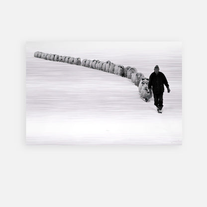 Black-and-white artwork of a shepherd leading his flock through a snowy landscape, showcasing rural serenity.