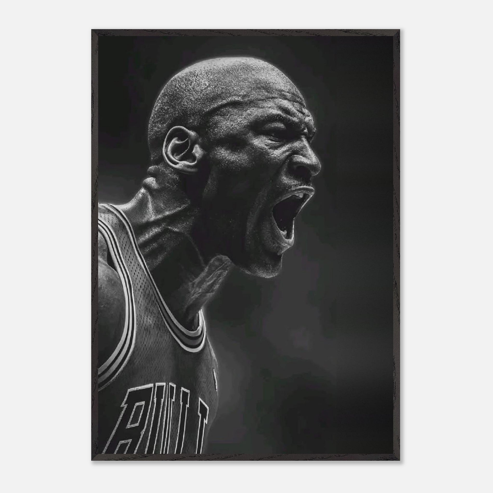Michael Jordan Chicago Bulls