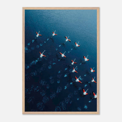 Aerial drone photograph of flamingos gracefully gliding over azure waters, showcasing their vibrant pink and red hues.