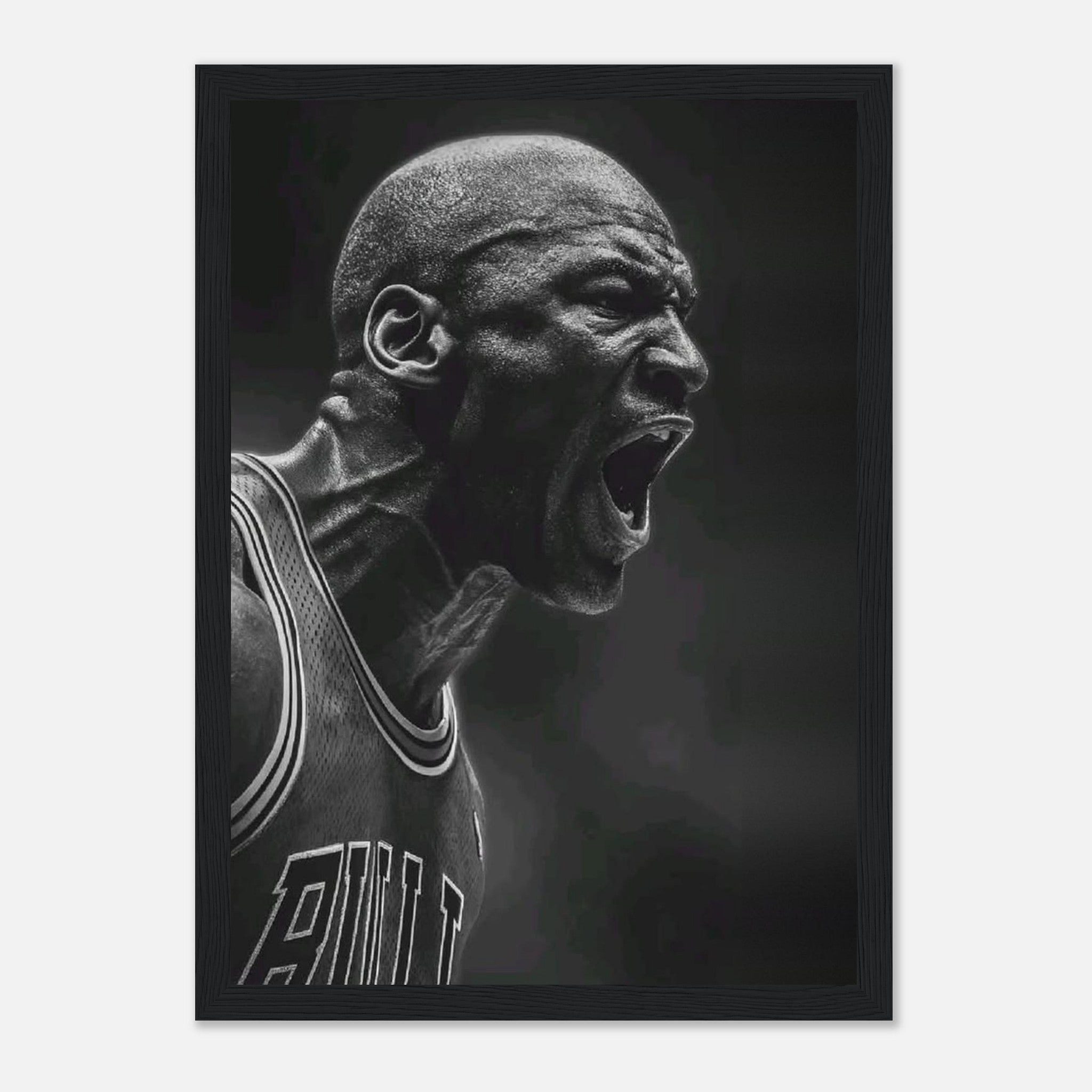 Michael Jordan Chicago Bulls